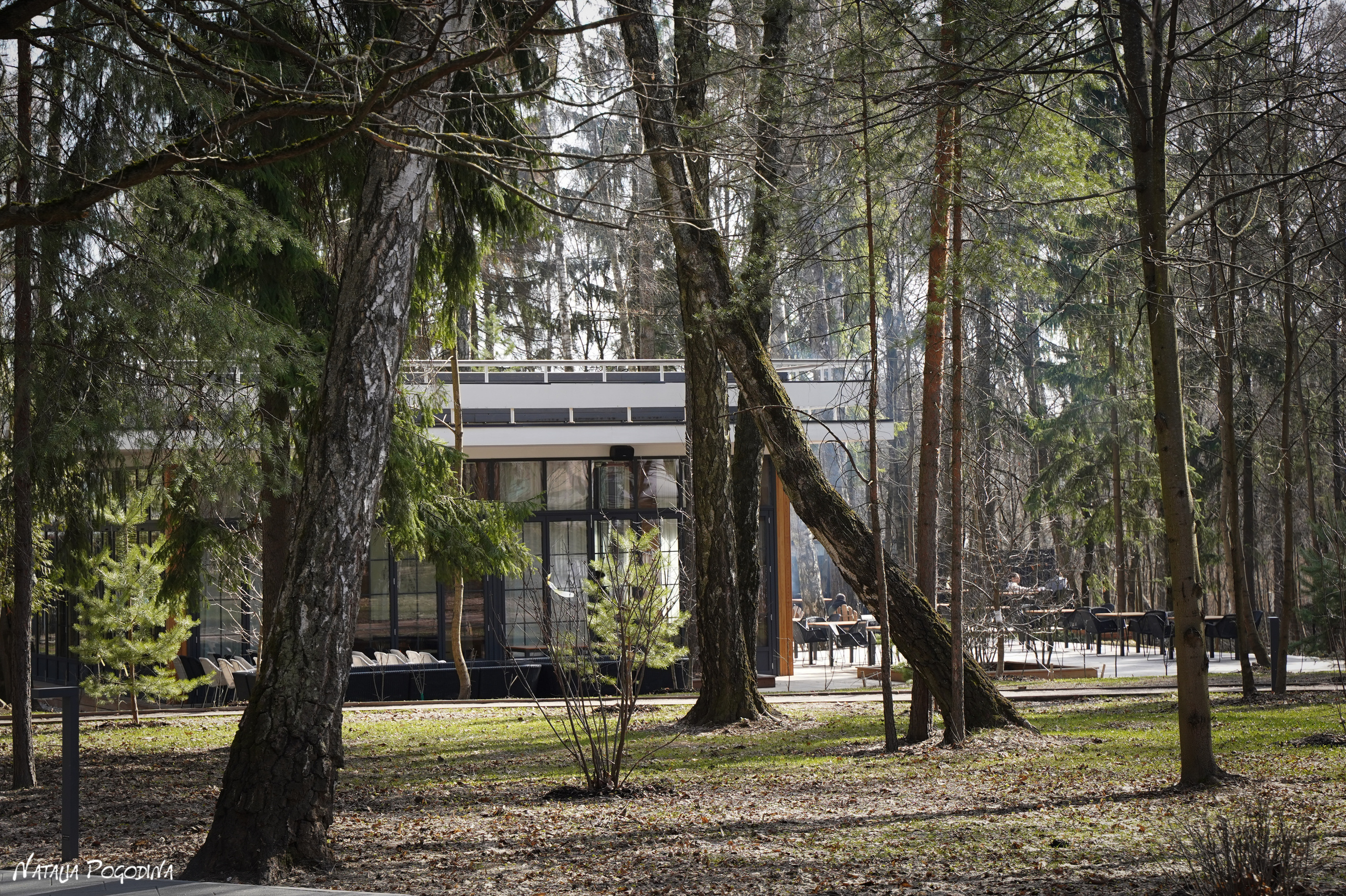 Фотопрогулка в Переделкино. Фотограф Наталья Погодина в г. Обнинске
