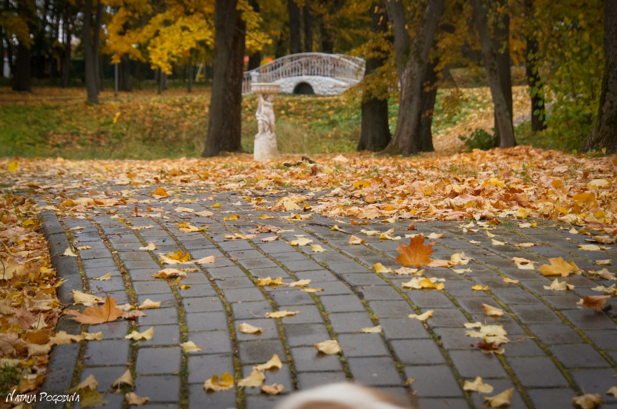ОБНИНСК. Фотограф Наталья Погодина в г. Обнинске