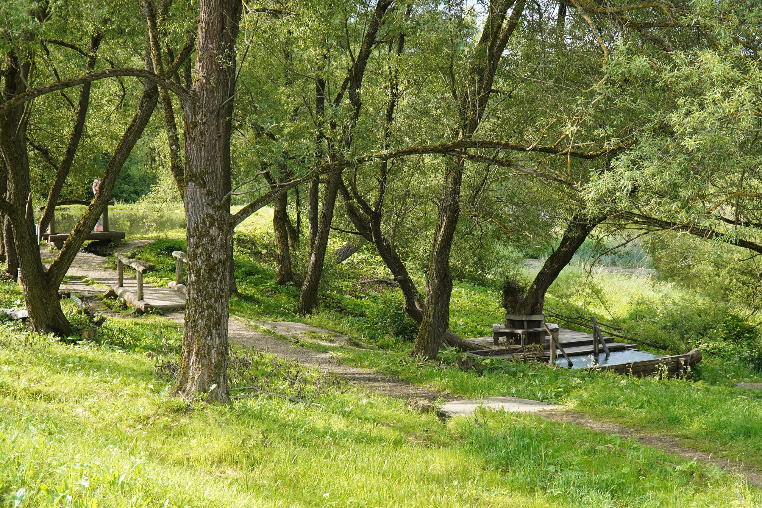 РУСИНОВО. Фотограф Наталья Погодина в г. Обнинске