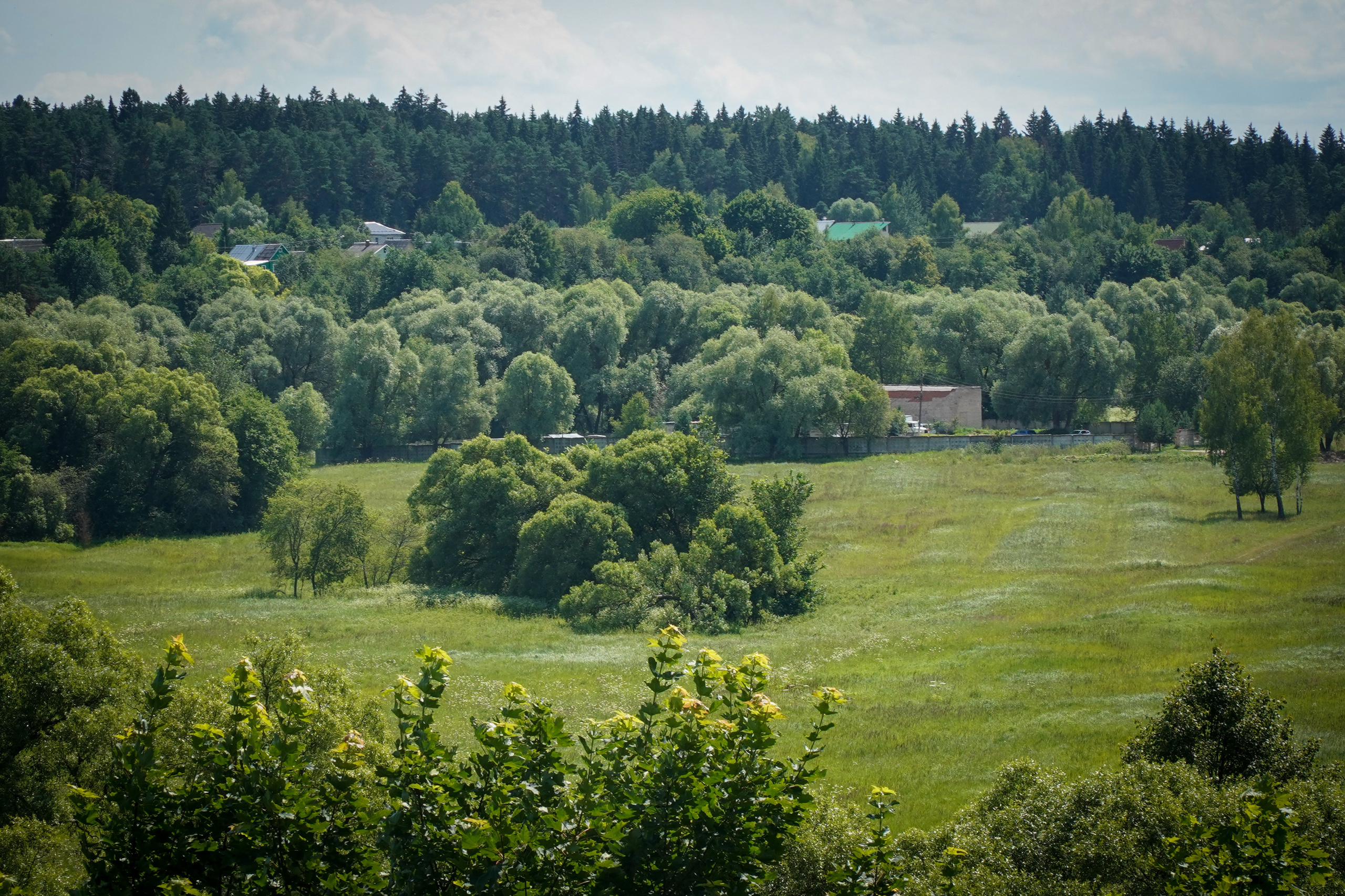 ВЕРЕЯ. Июль 2023. Фотограф Наталья Погодина в г. Обнинске