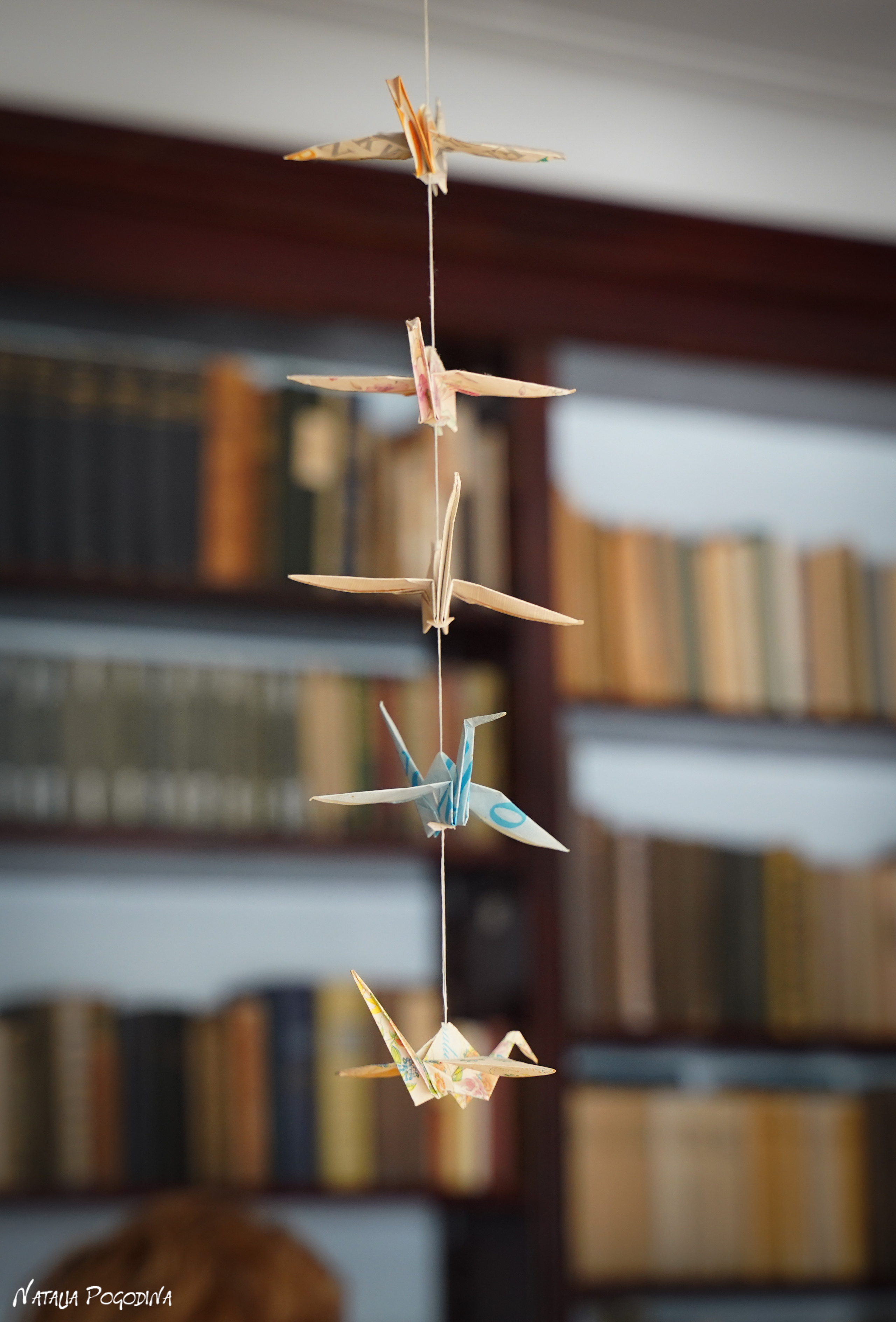 Фотопрогулка в Переделкино. Фотограф Наталья Погодина в г. Обнинске