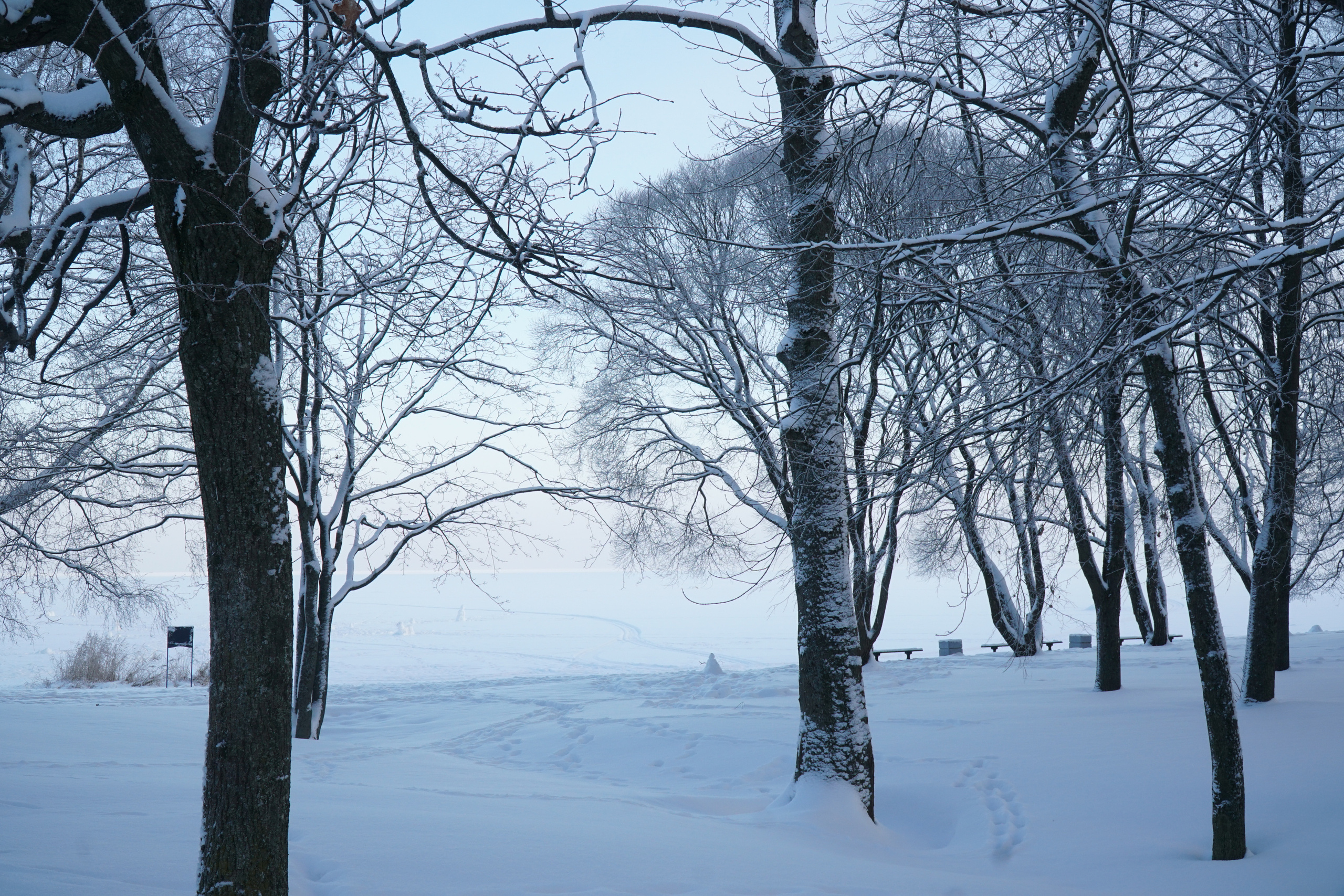 ПЕТЕРГОФ. Январь 2022. Фотограф Наталья Погодина в г. Обнинске