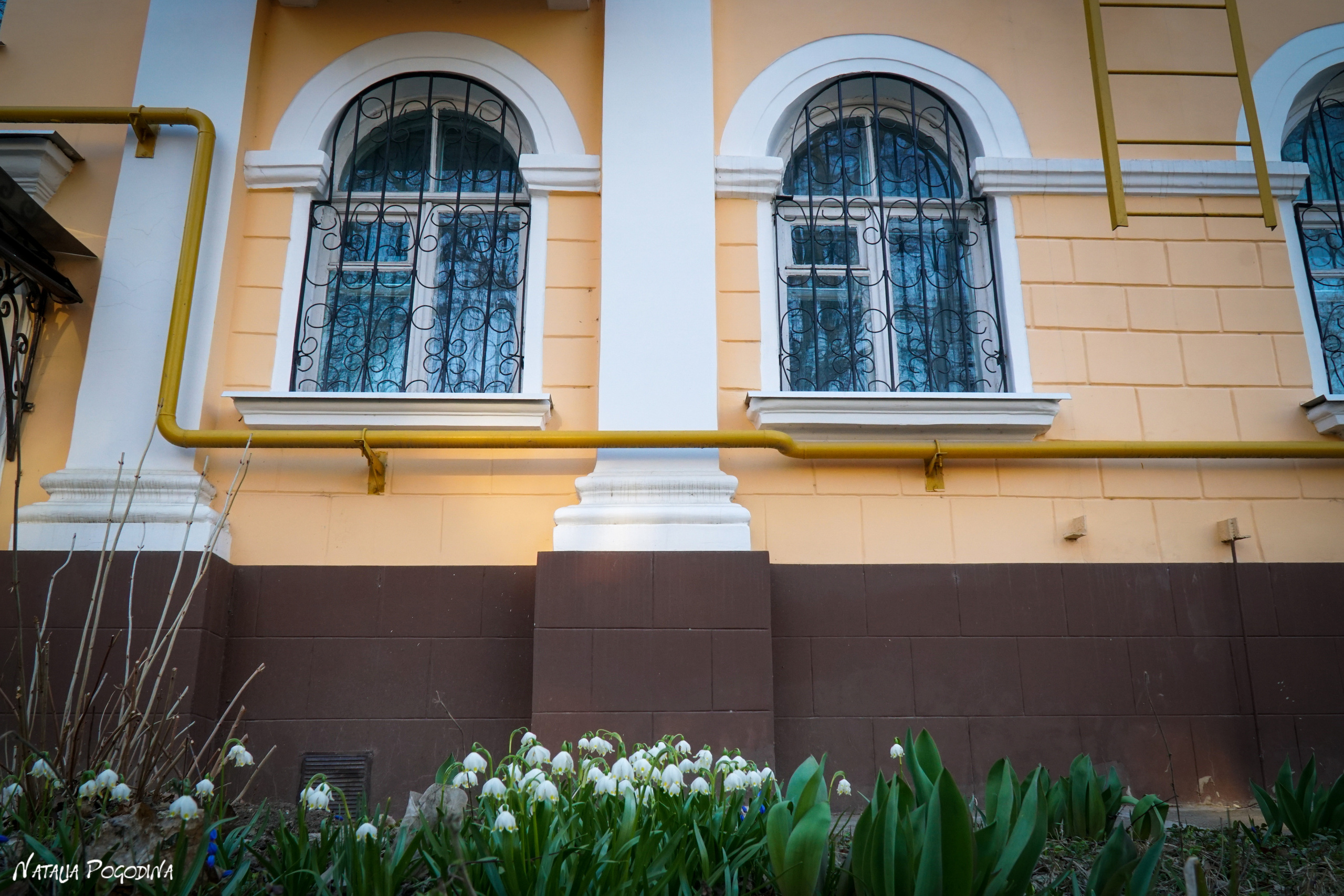 ОБНИНСК. Фотограф Наталья Погодина в г. Обнинске