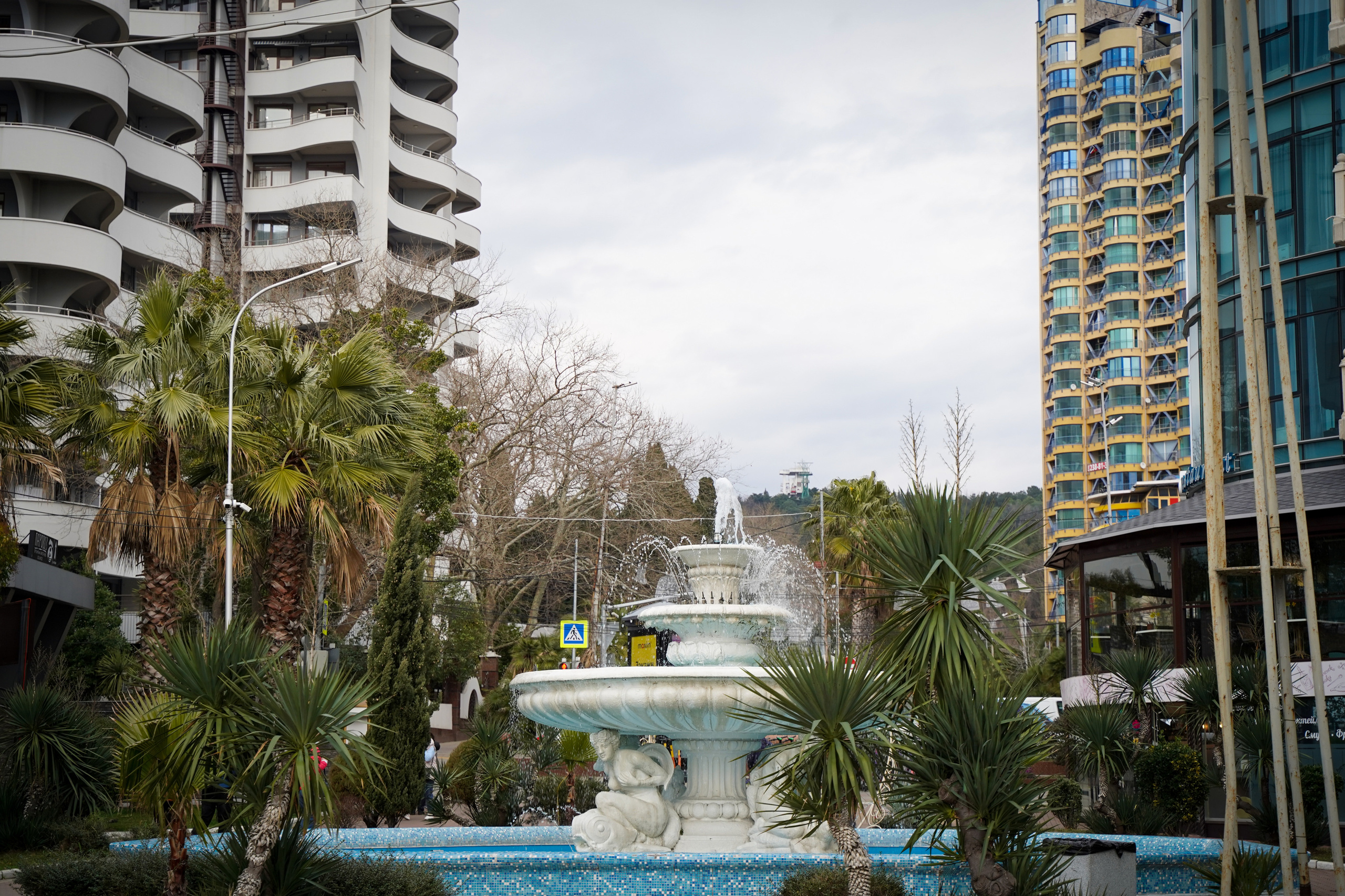 Фото Сочи 2023. Фотограф Наталья Погодина в г. Обнинске