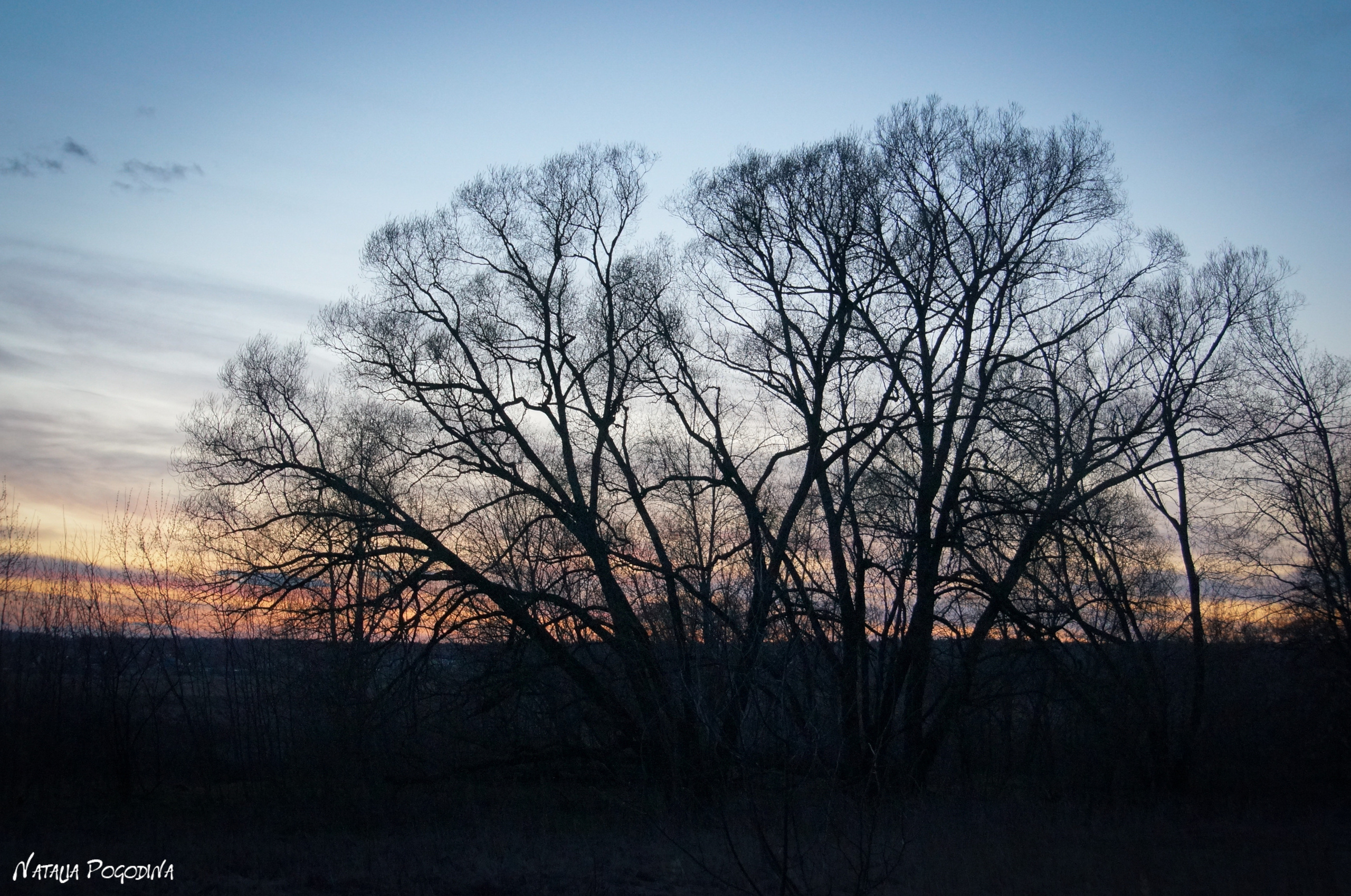 ОБНИНСК. Фотограф Наталья Погодина в г. Обнинске