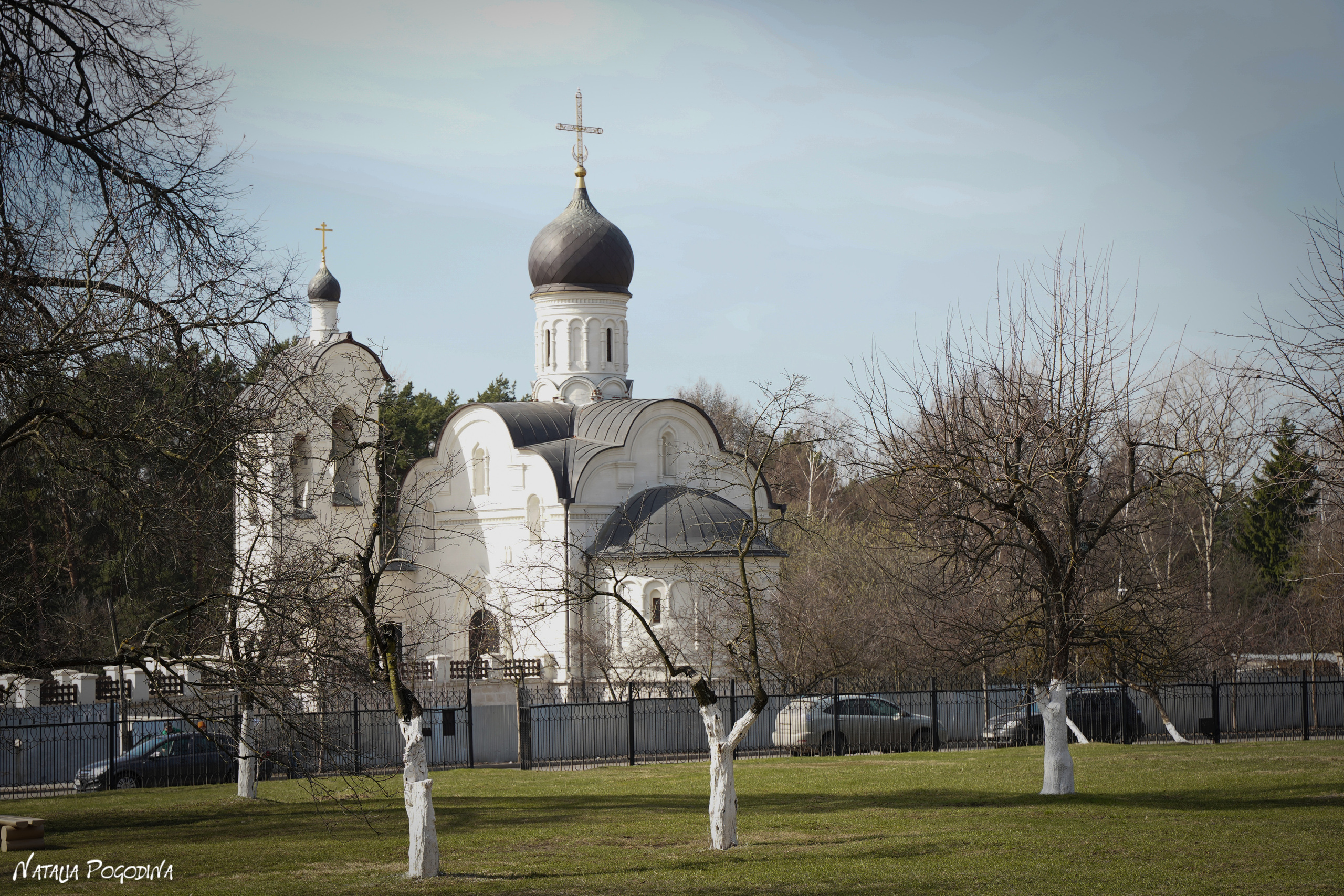 Фотопрогулка в Переделкино. Фотограф Наталья Погодина в г. Обнинске
