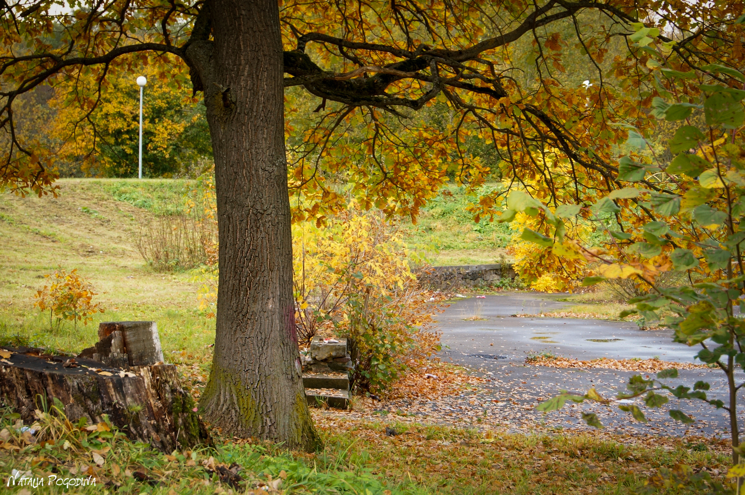 ОБНИНСК. Фотограф Наталья Погодина в г. Обнинске