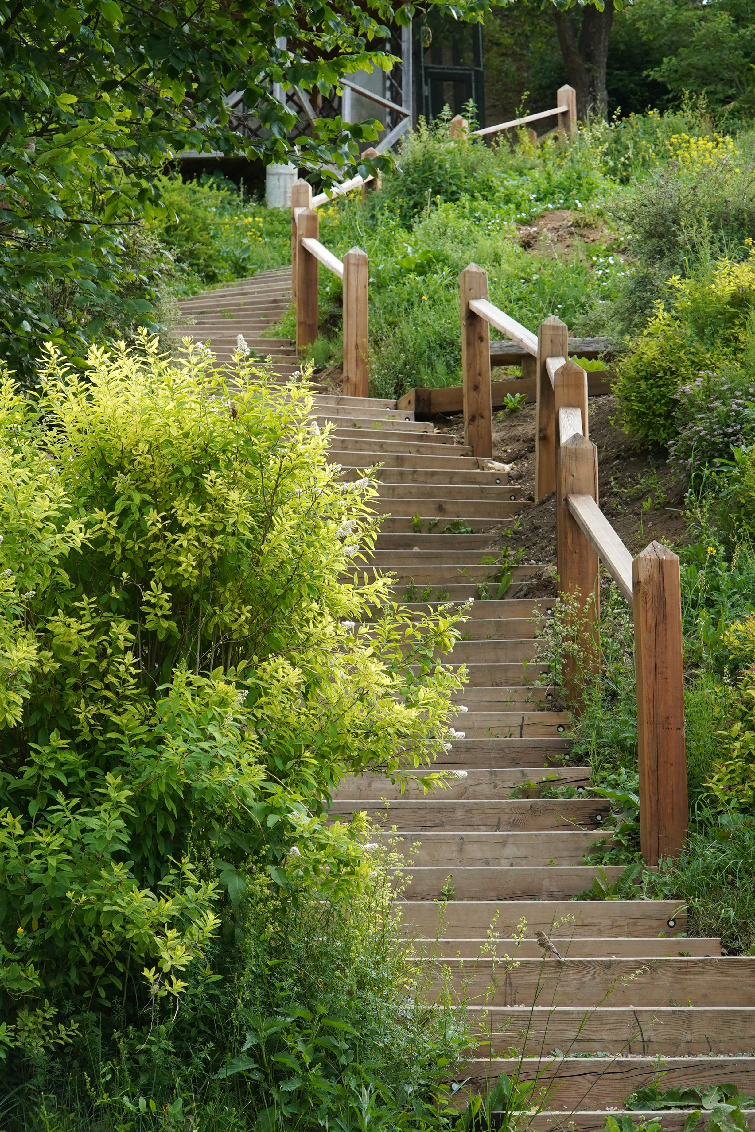 РУСИНОВО. Фотограф Наталья Погодина в г. Обнинске