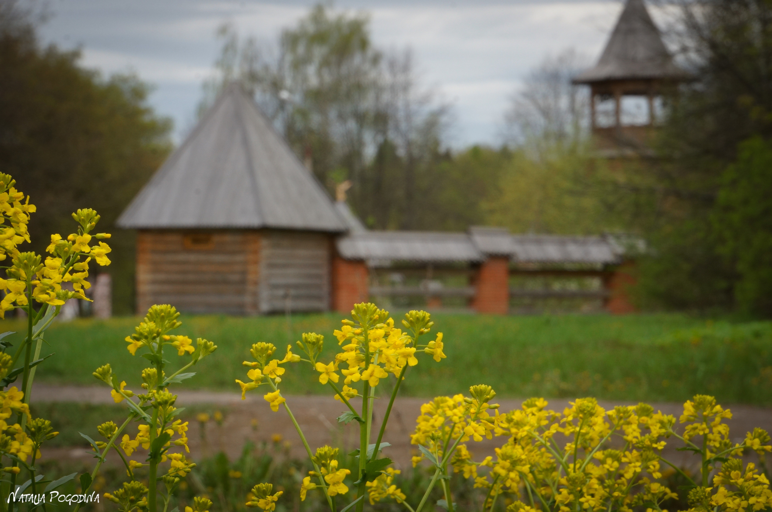 ОБНИНСК. Фотограф Наталья Погодина в г. Обнинске