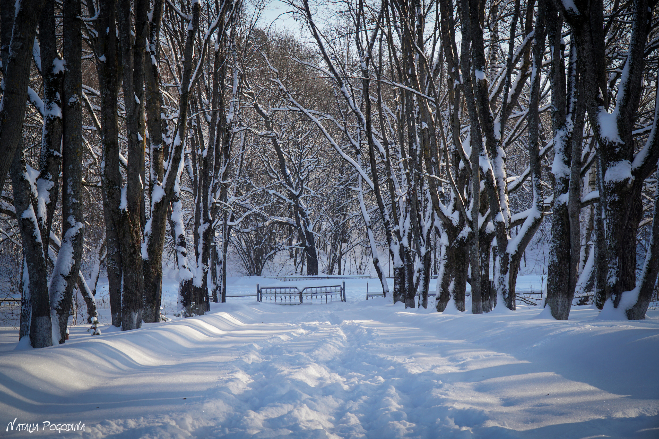 ОБНИНСК. Фотограф Наталья Погодина в г. Обнинске