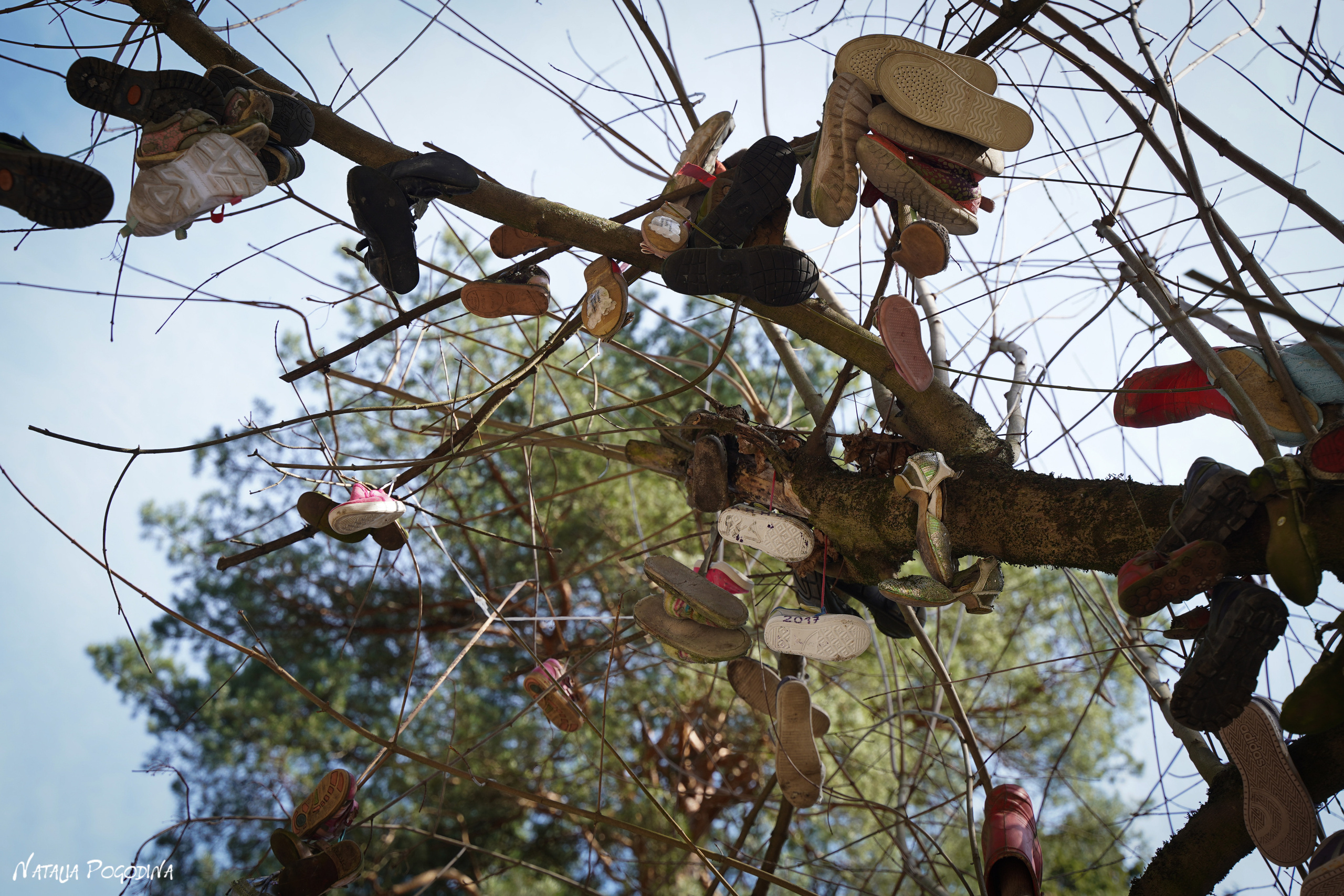 Фотопрогулка в Переделкино. Фотограф Наталья Погодина в г. Обнинске