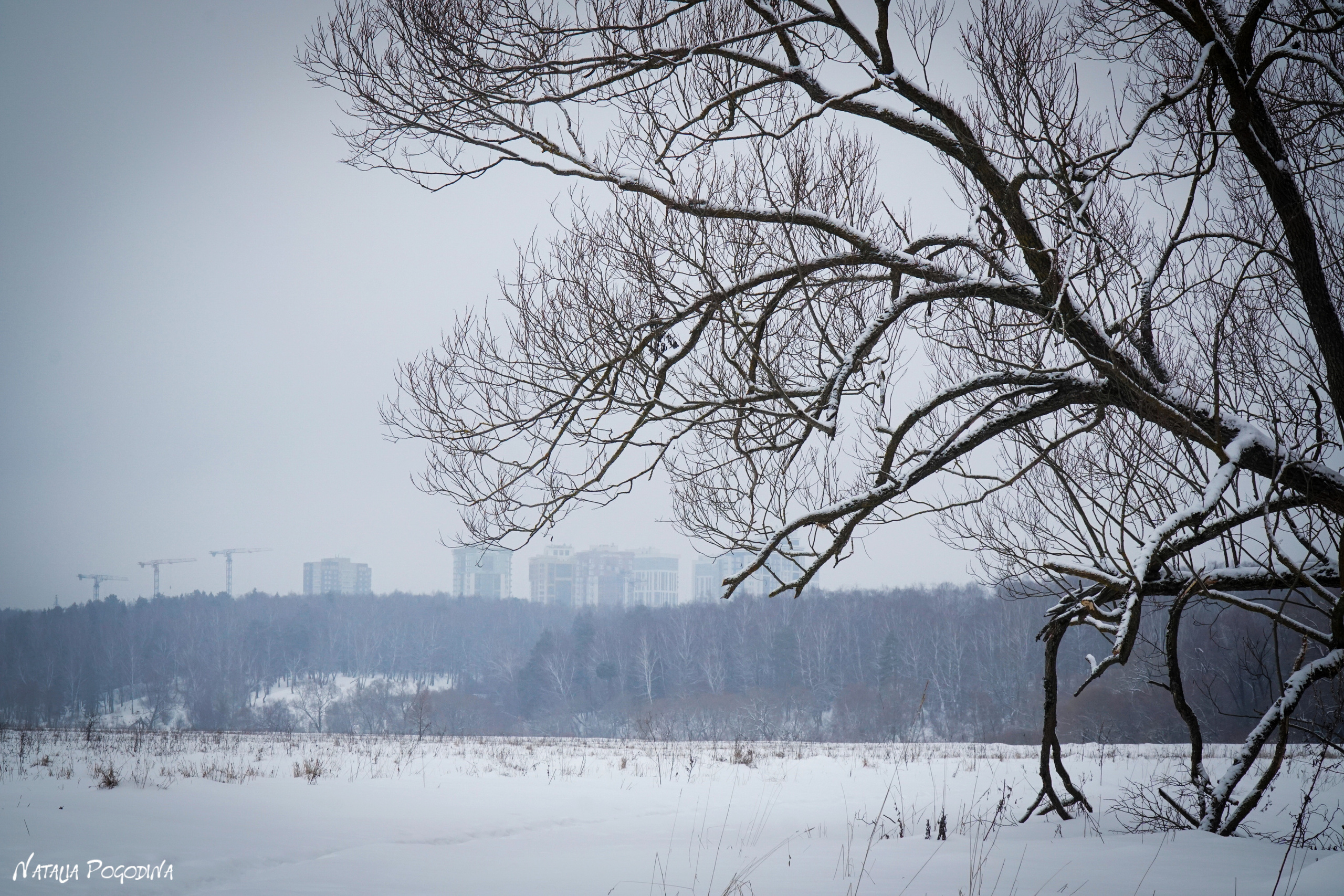 ОБНИНСК. Фотограф Наталья Погодина в г. Обнинске