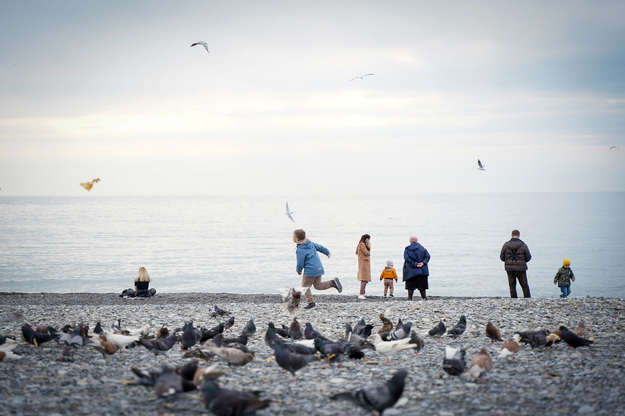 Фото Сочи 2023. Фотограф Наталья Погодина в г. Обнинске