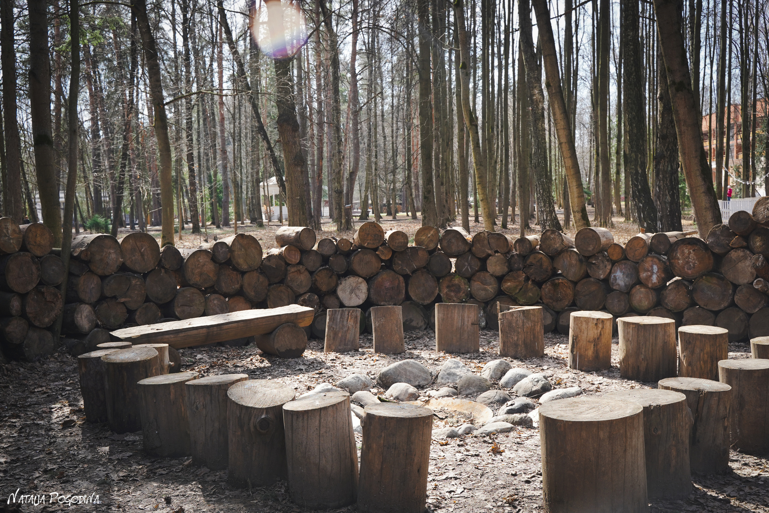 Фотопрогулка в Переделкино. Фотограф Наталья Погодина в г. Обнинске