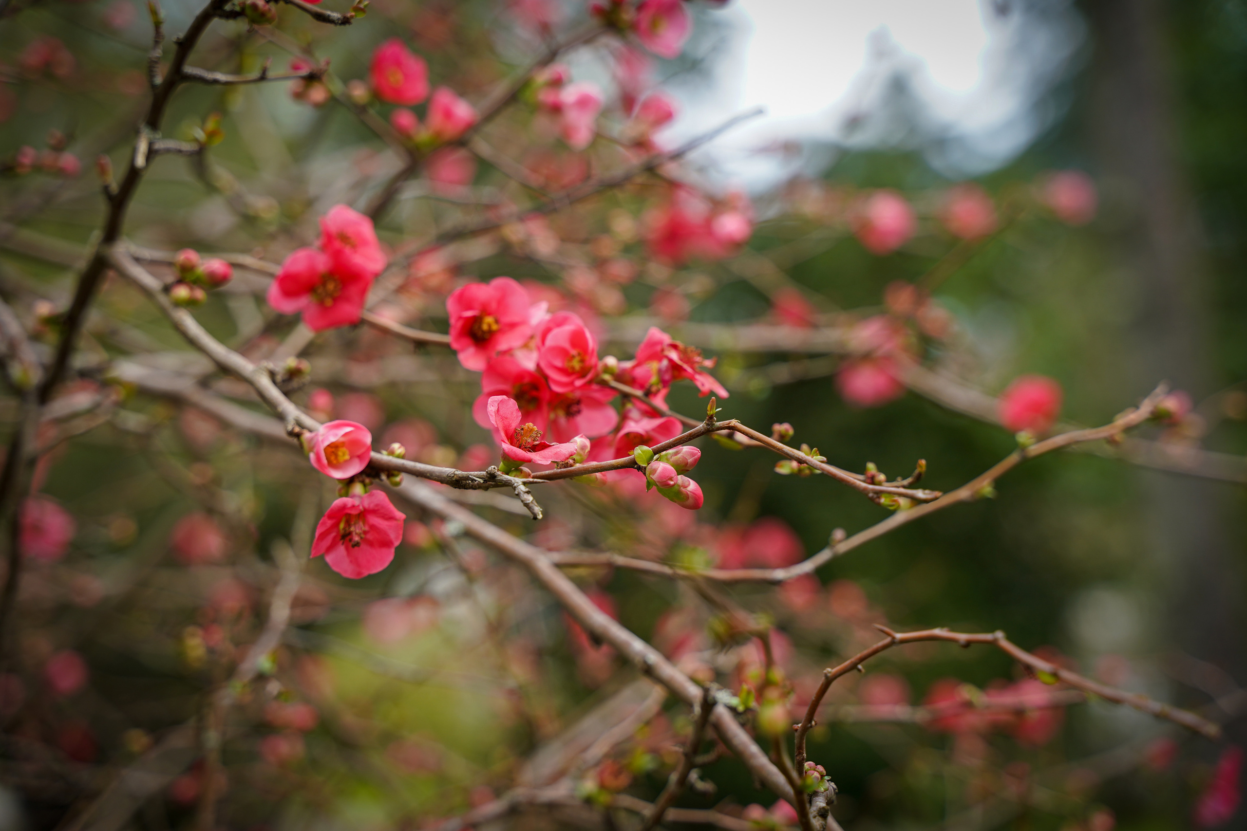 Фото Сочи 2023. Фотограф Наталья Погодина в г. Обнинске