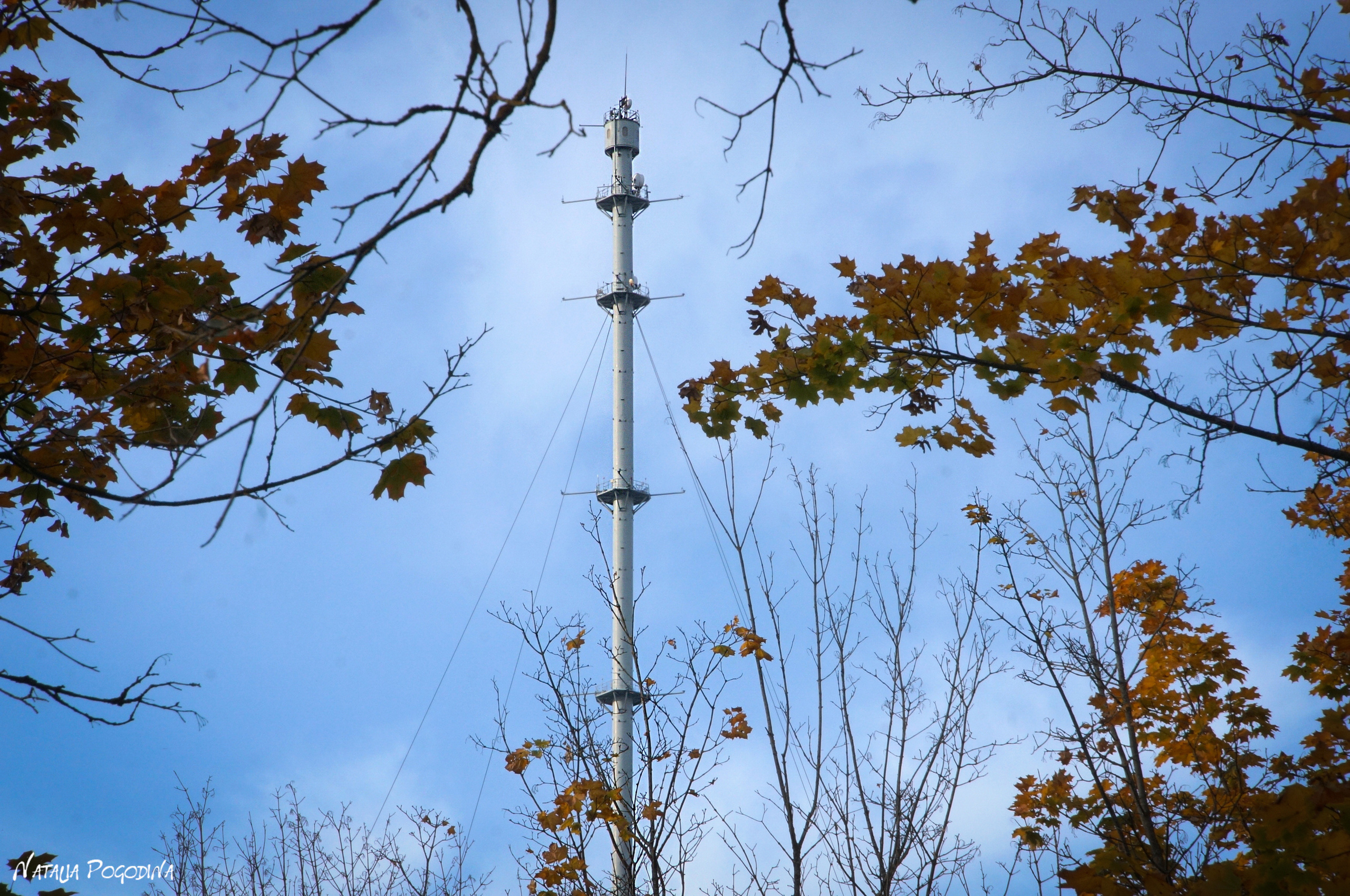 ОБНИНСК. Фотограф Наталья Погодина в г. Обнинске
