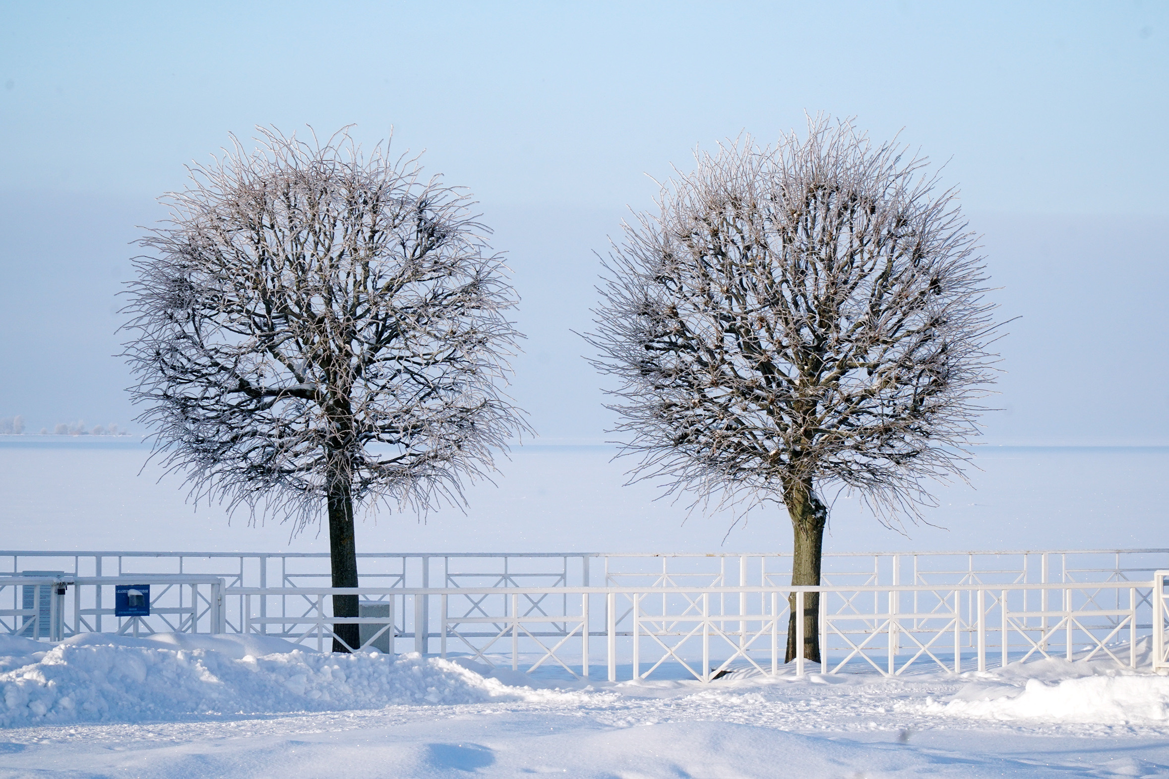 ПЕТЕРГОФ. Январь 2022. Фотограф Наталья Погодина в г. Обнинске