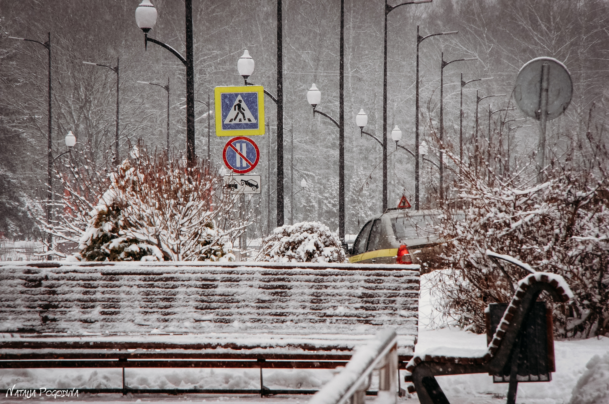 ОБНИНСК. Фотограф Наталья Погодина в г. Обнинске