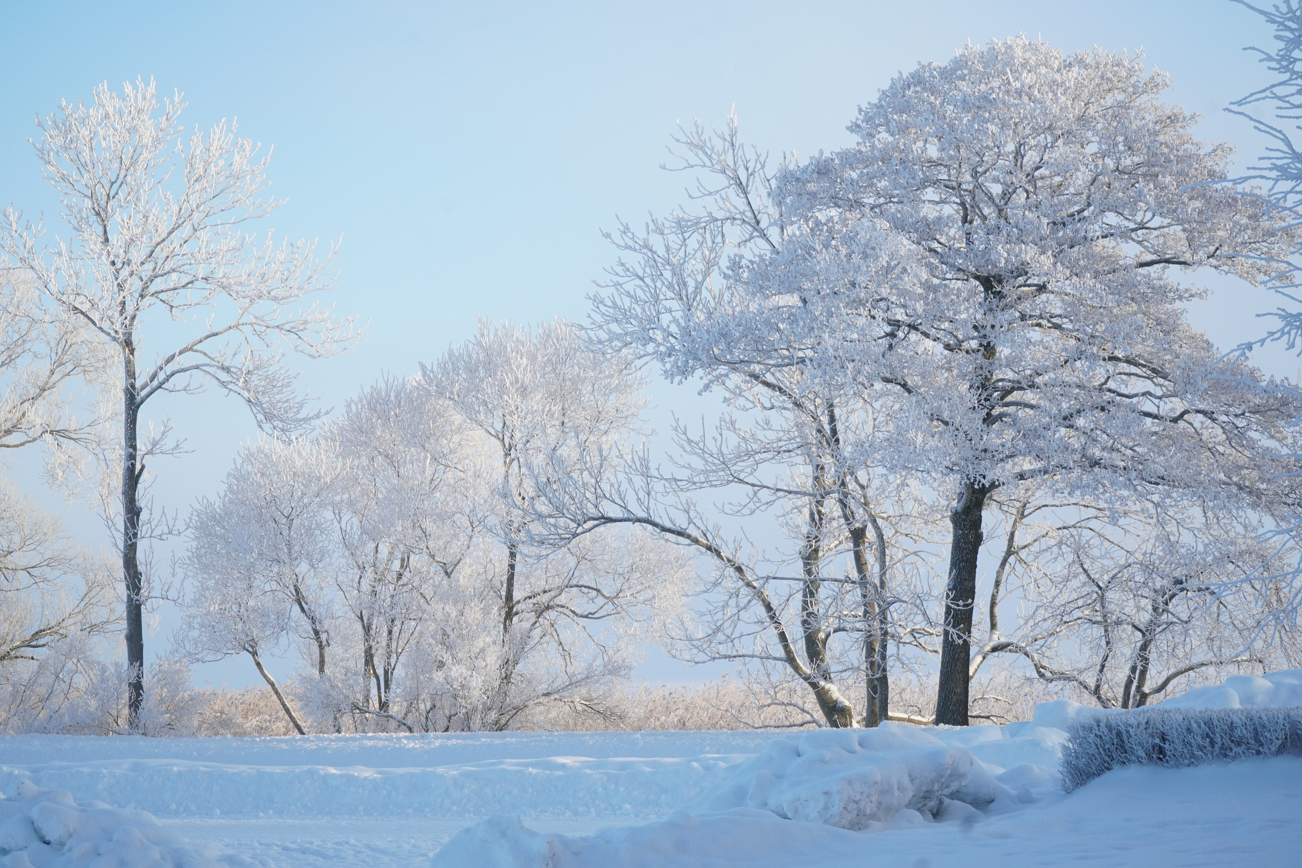 ПЕТЕРГОФ. Январь 2022. Фотограф Наталья Погодина в г. Обнинске