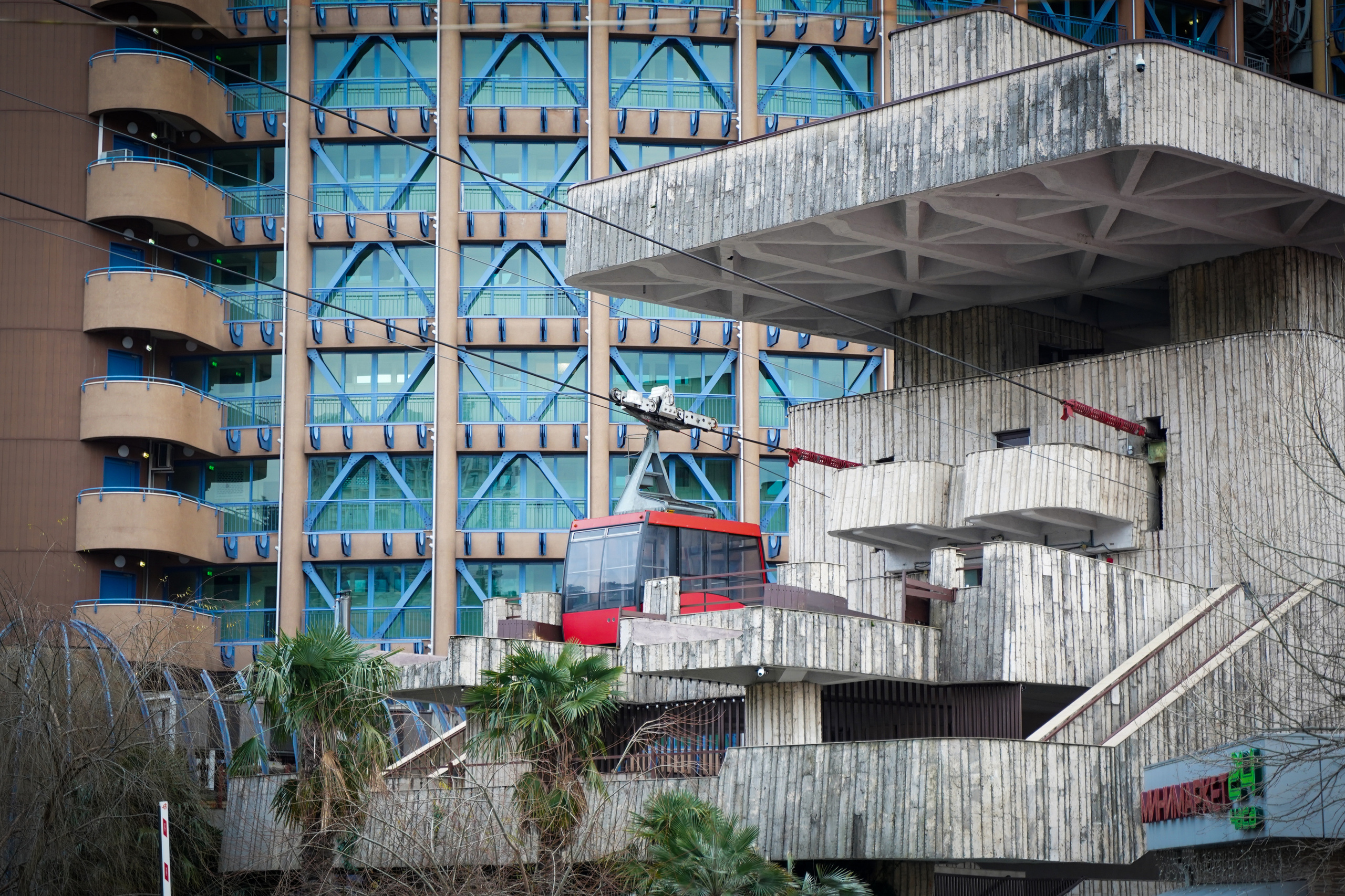 Фото Сочи 2023. Фотограф Наталья Погодина в г. Обнинске