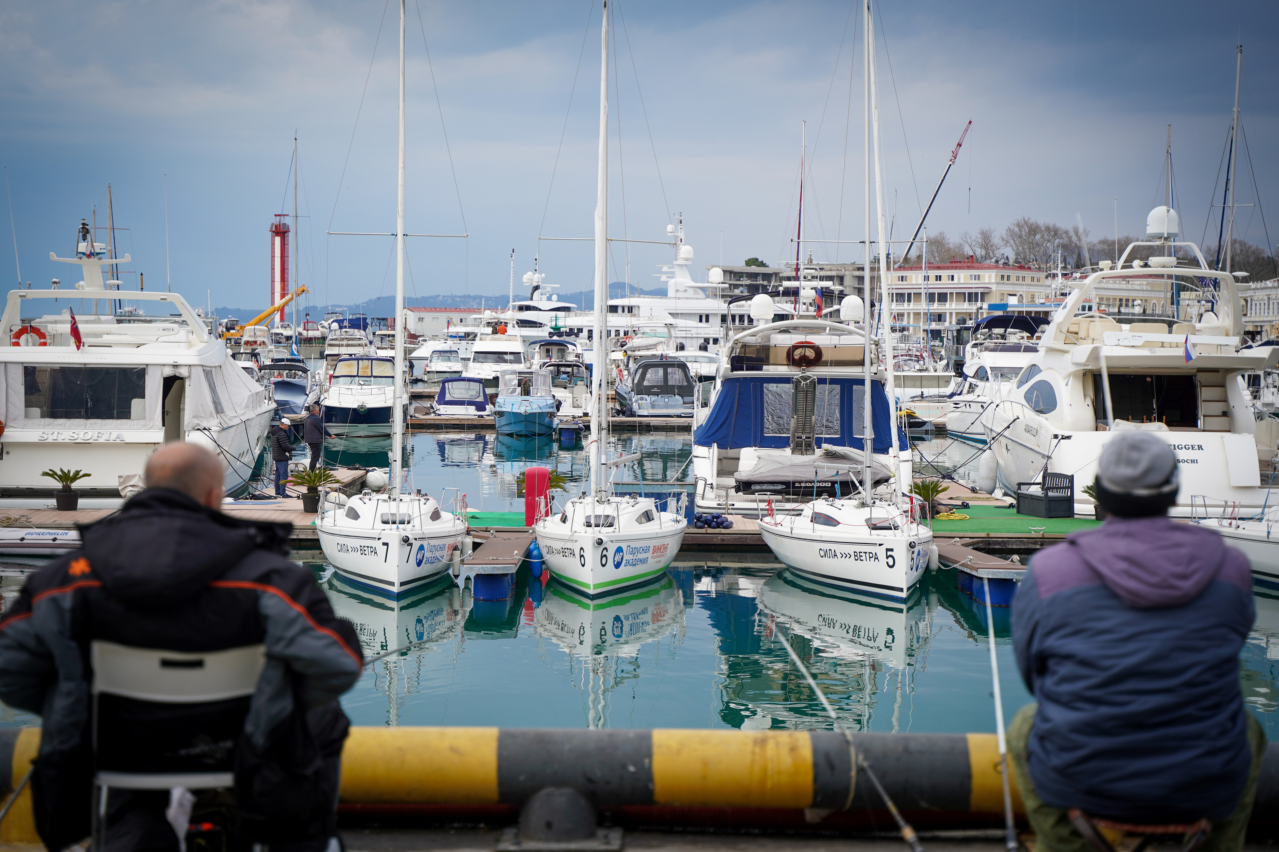 Фото Сочи 2023. Фотограф Наталья Погодина в г. Обнинске