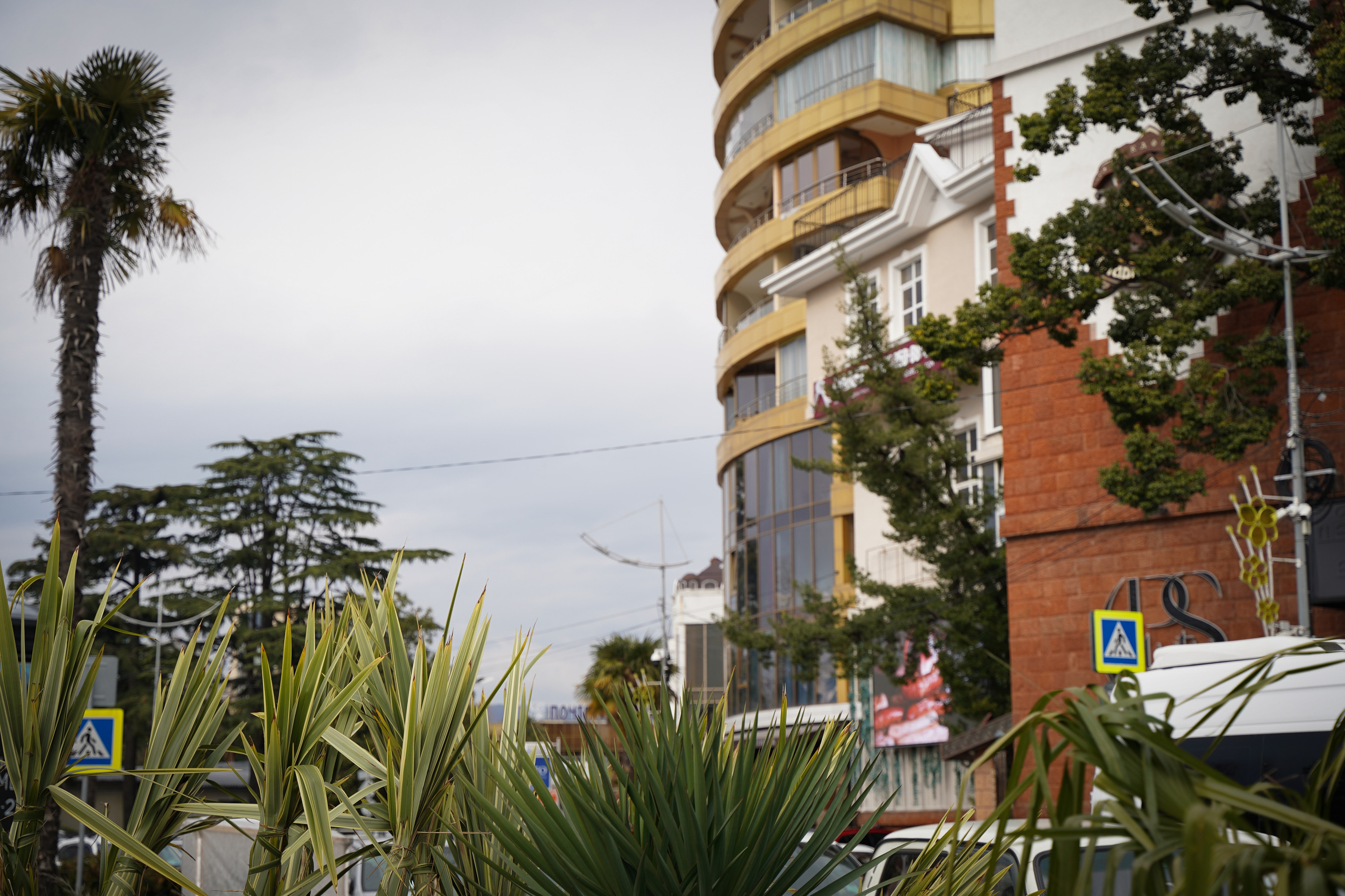 Фото Сочи 2023. Фотограф Наталья Погодина в г. Обнинске