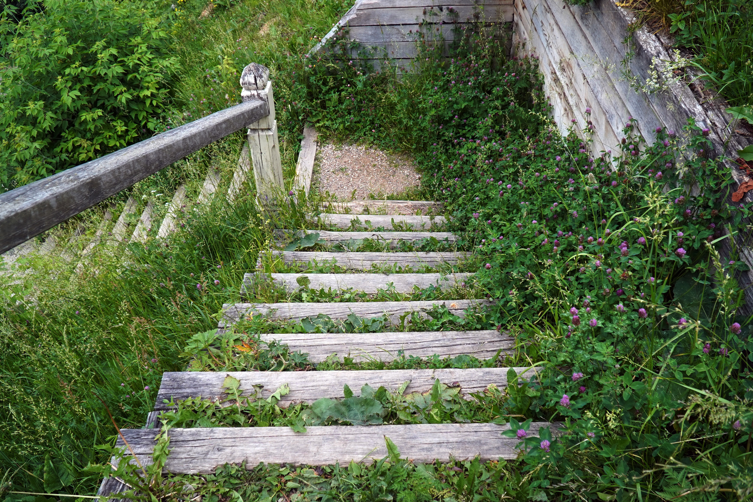 РУСИНОВО. Фотограф Наталья Погодина в г. Обнинске