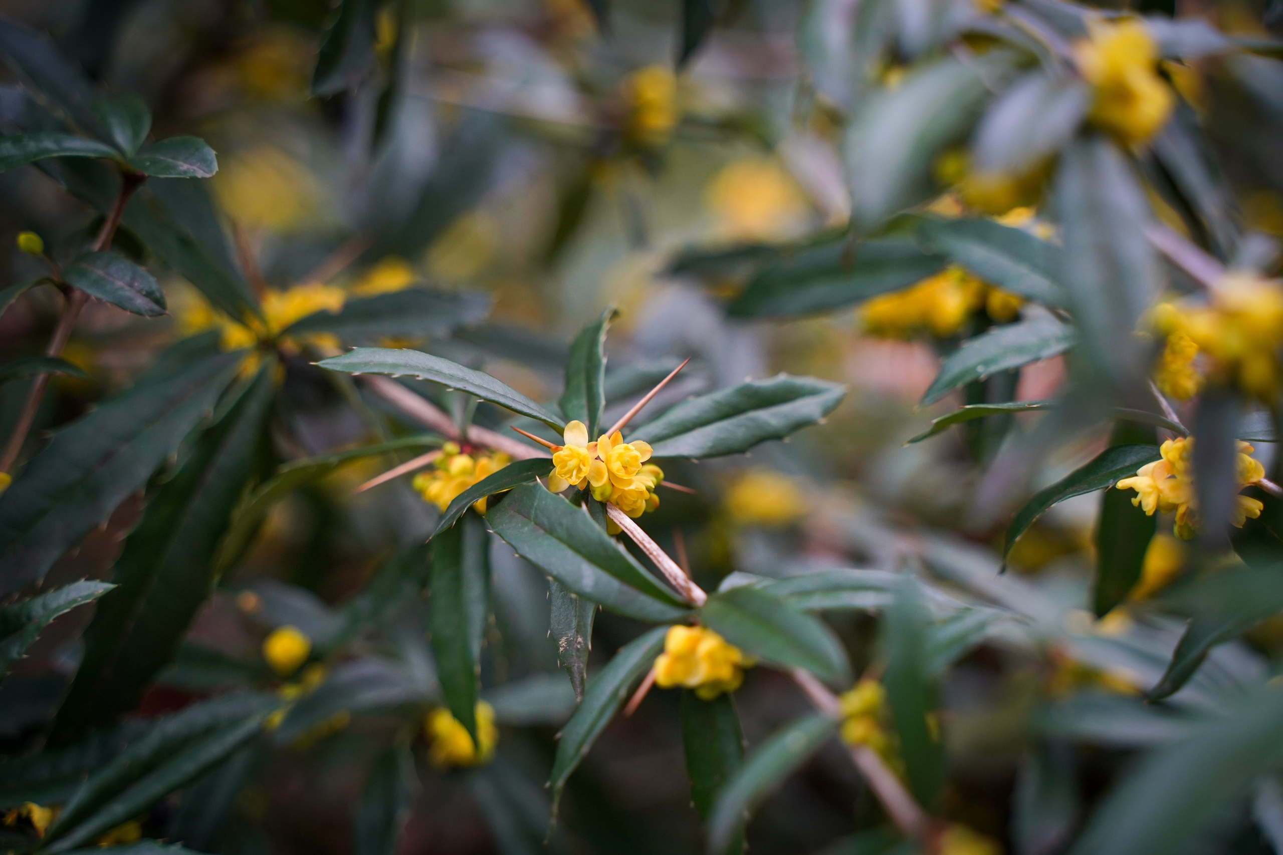 Фото Сочи 2023. Фотограф Наталья Погодина в г. Обнинске