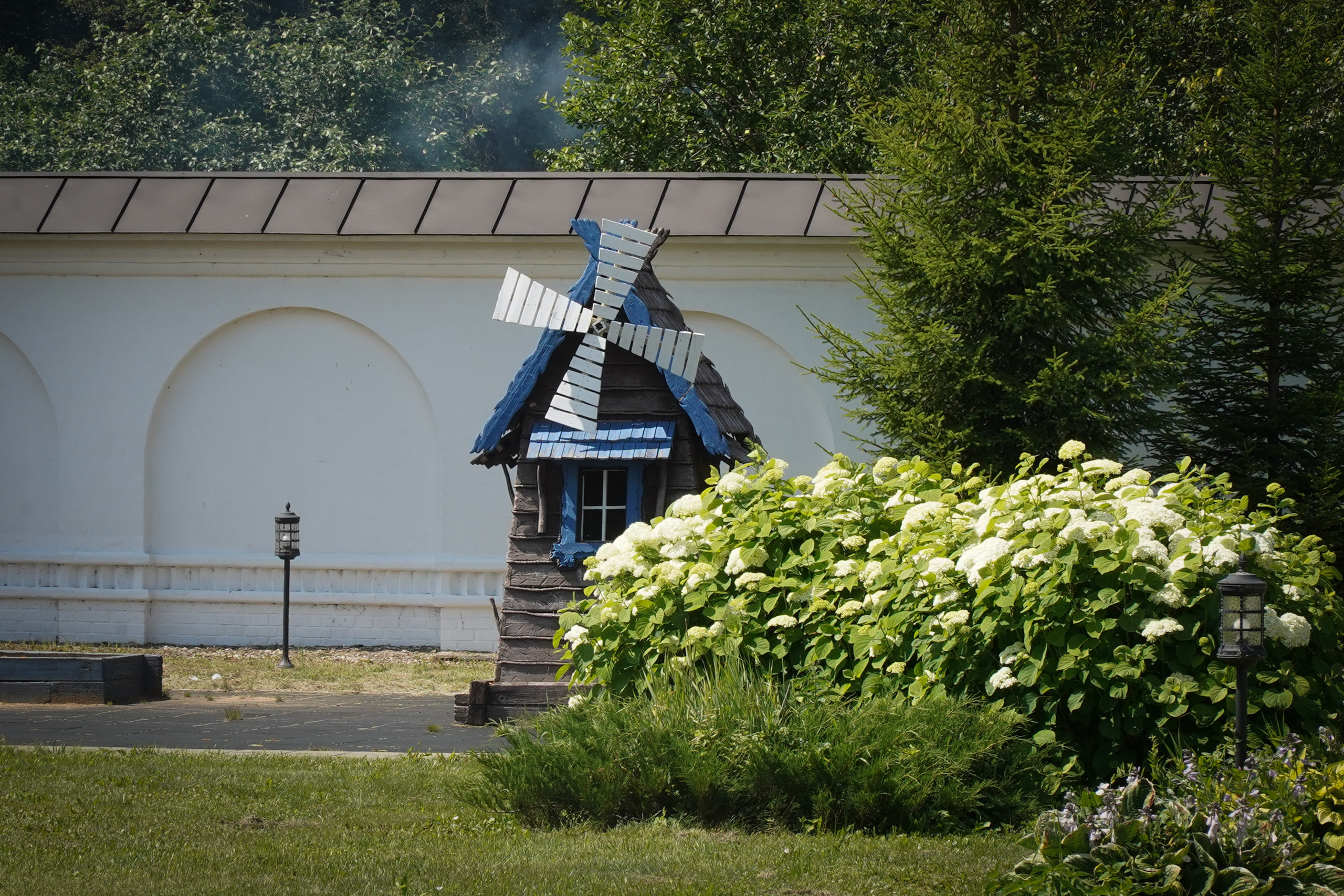 ВЕРЕЯ. Июль 2023. Фотограф Наталья Погодина в г. Обнинске
