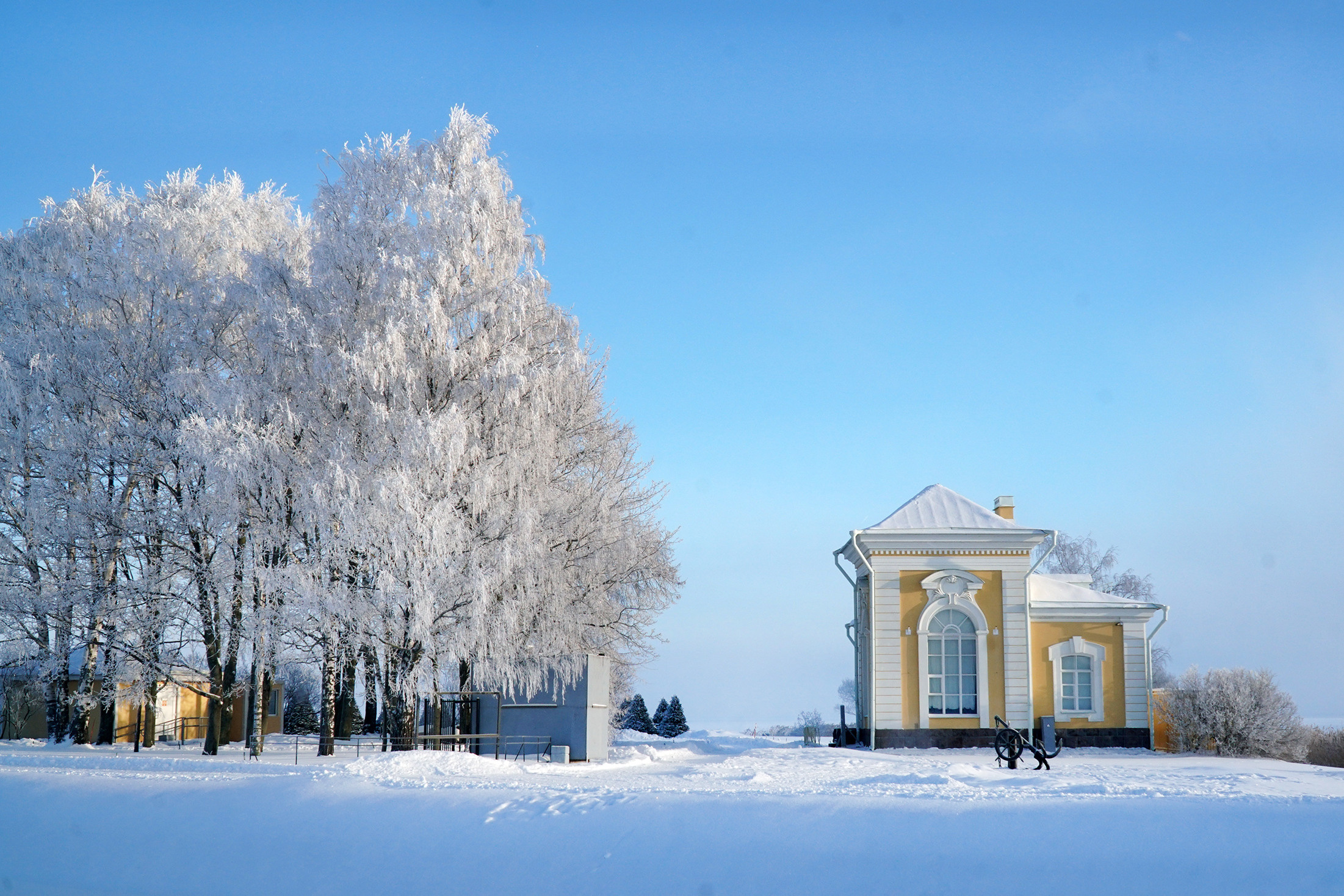 ПЕТЕРГОФ. Январь 2022. Фотограф Наталья Погодина в г. Обнинске