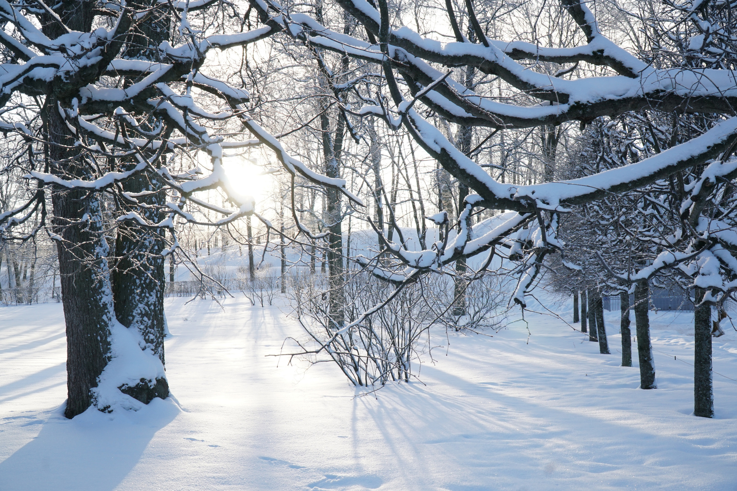 ПЕТЕРГОФ. Январь 2022. Фотограф Наталья Погодина в г. Обнинске