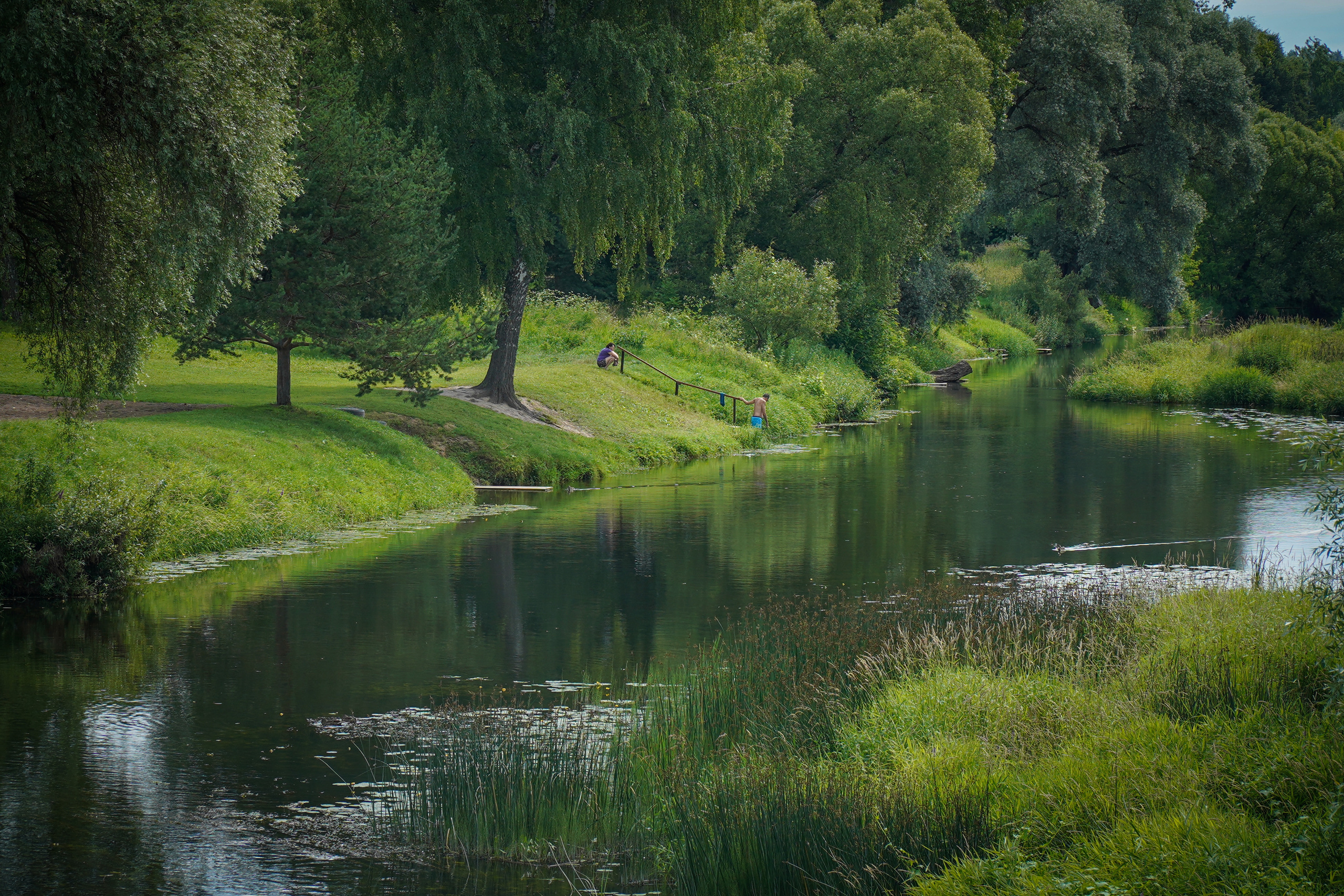 ВЕРЕЯ. Июль 2023. Фотограф Наталья Погодина в г. Обнинске