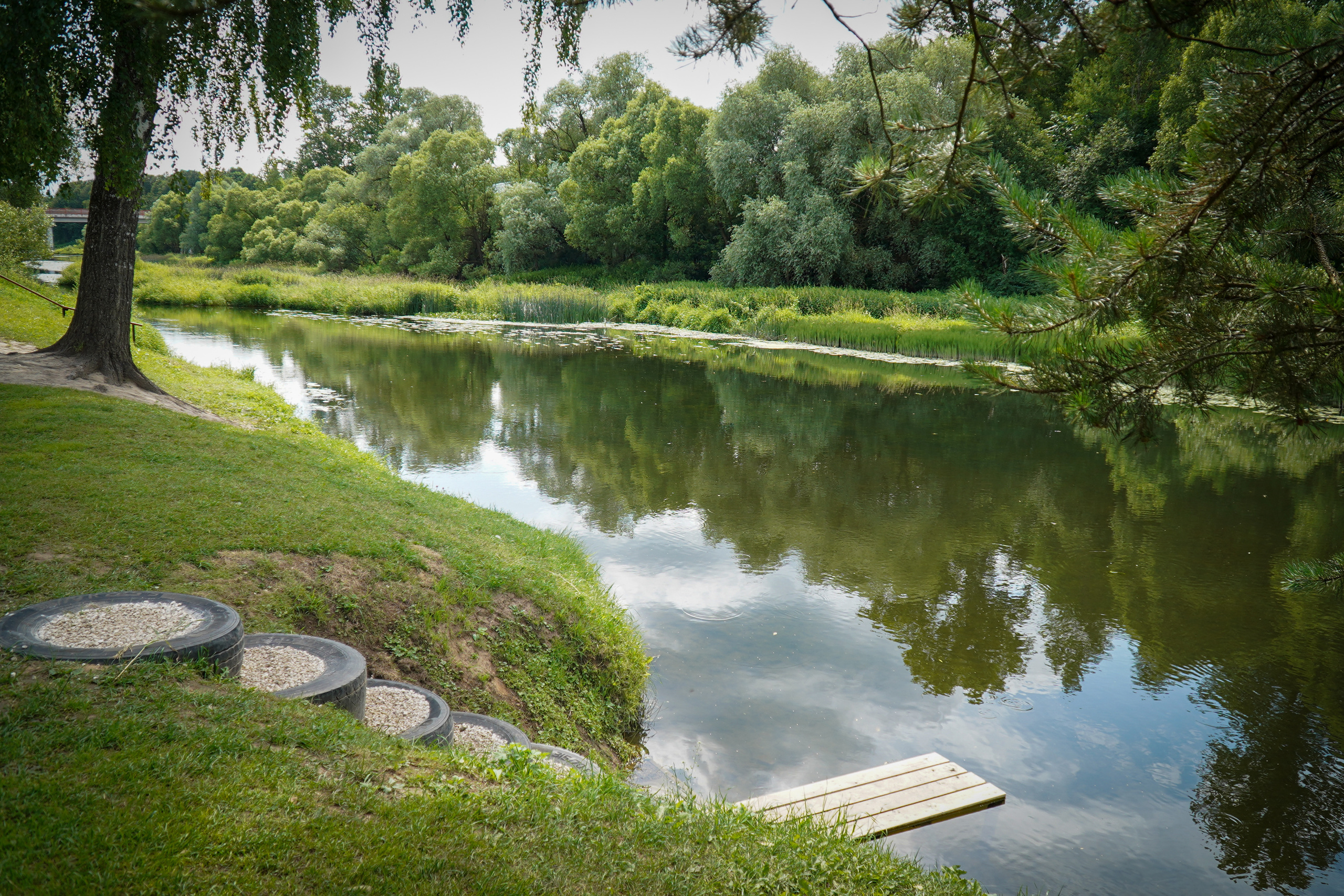 ВЕРЕЯ. Июль 2023. Фотограф Наталья Погодина в г. Обнинске