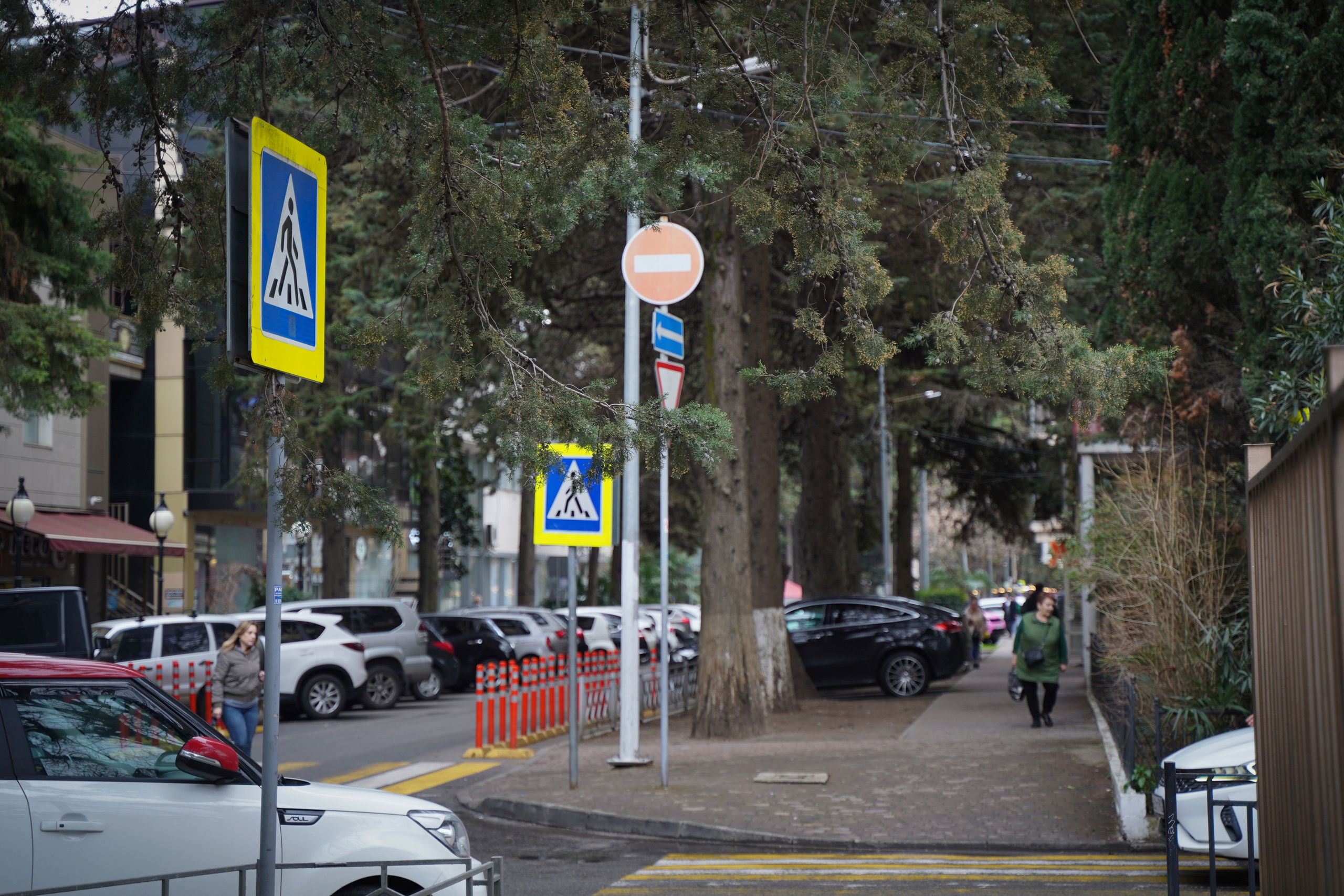 Фото Сочи 2023. Фотограф Наталья Погодина в г. Обнинске