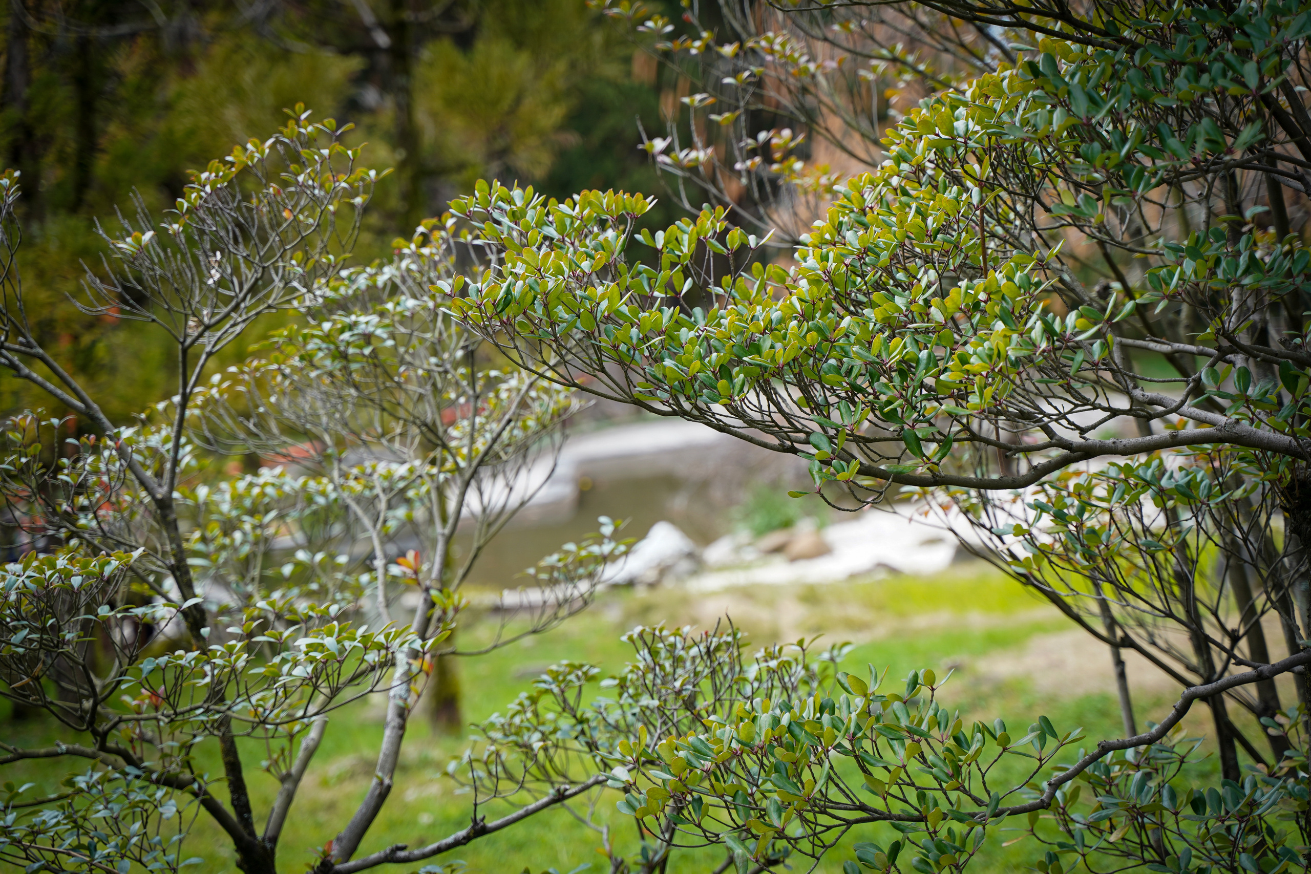 Фото Сочи 2023. Фотограф Наталья Погодина в г. Обнинске
