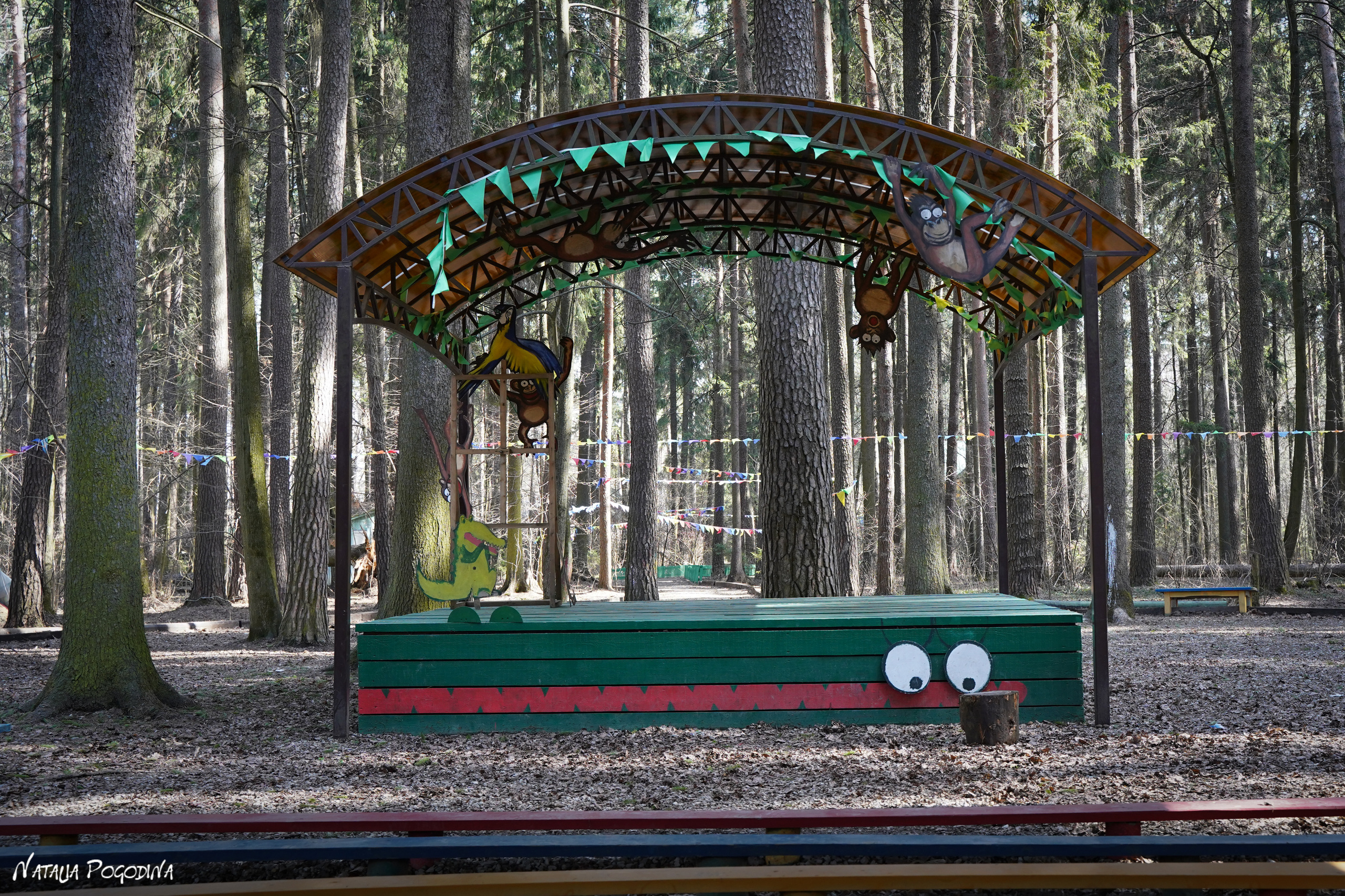 Фотопрогулка в Переделкино. Фотограф Наталья Погодина в г. Обнинске