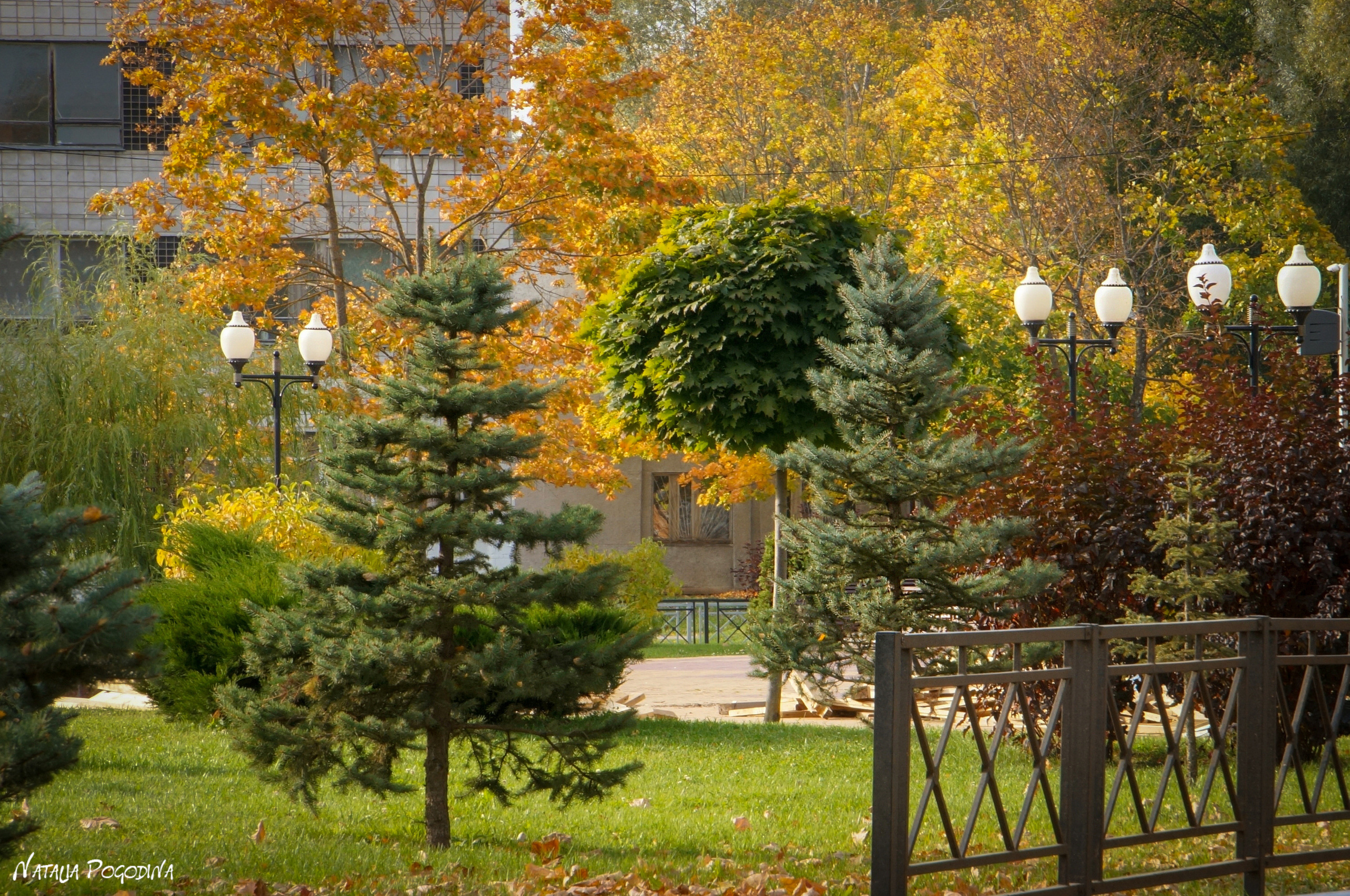 ОБНИНСК. Фотограф Наталья Погодина в г. Обнинске