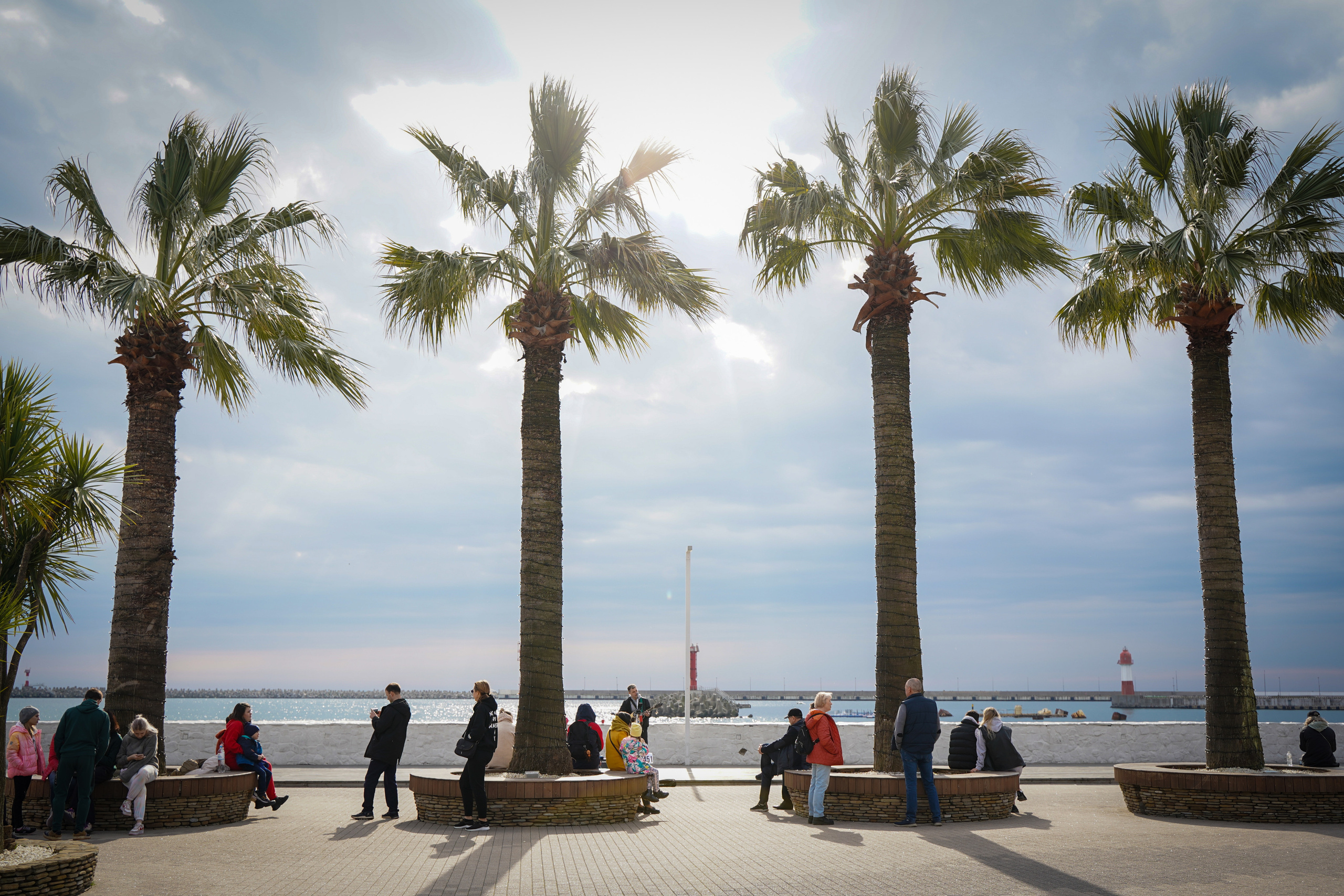 Фото Сочи 2023. Фотограф Наталья Погодина в г. Обнинске