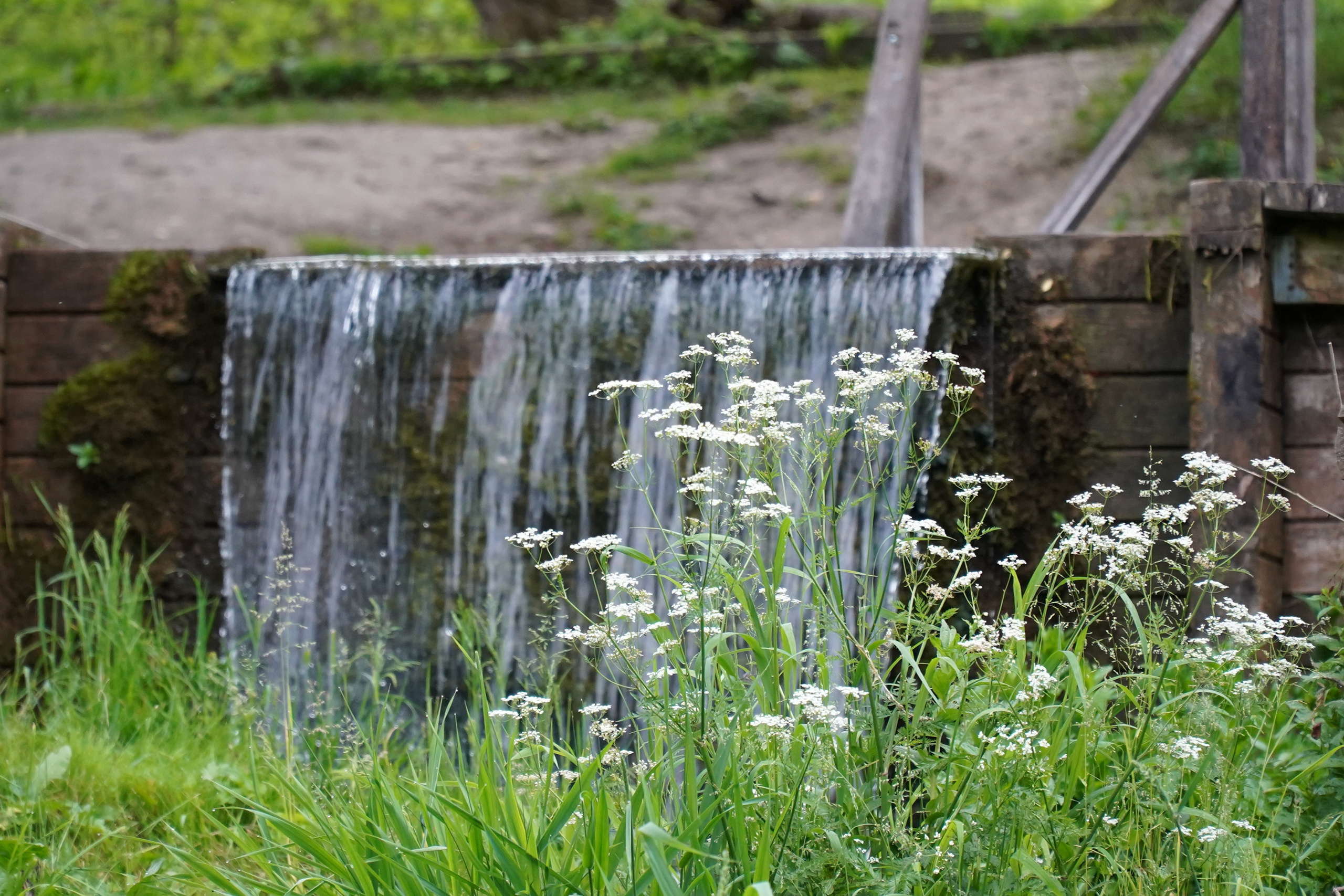 РУСИНОВО. Фотограф Наталья Погодина в г. Обнинске