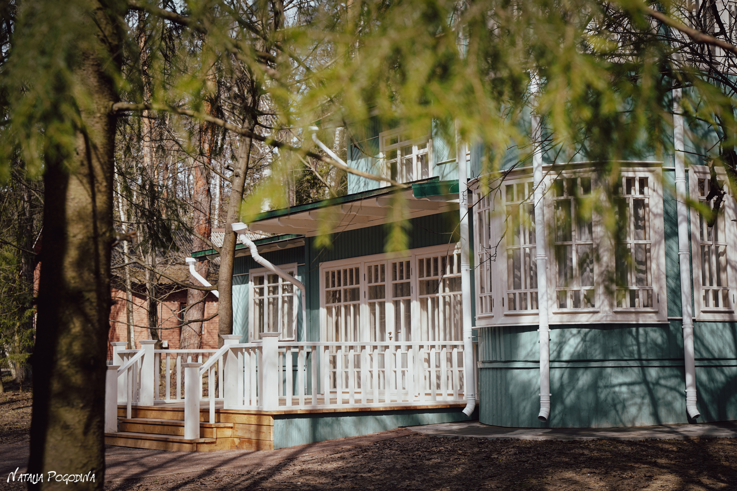 Фотопрогулка в Переделкино. Фотограф Наталья Погодина в г. Обнинске