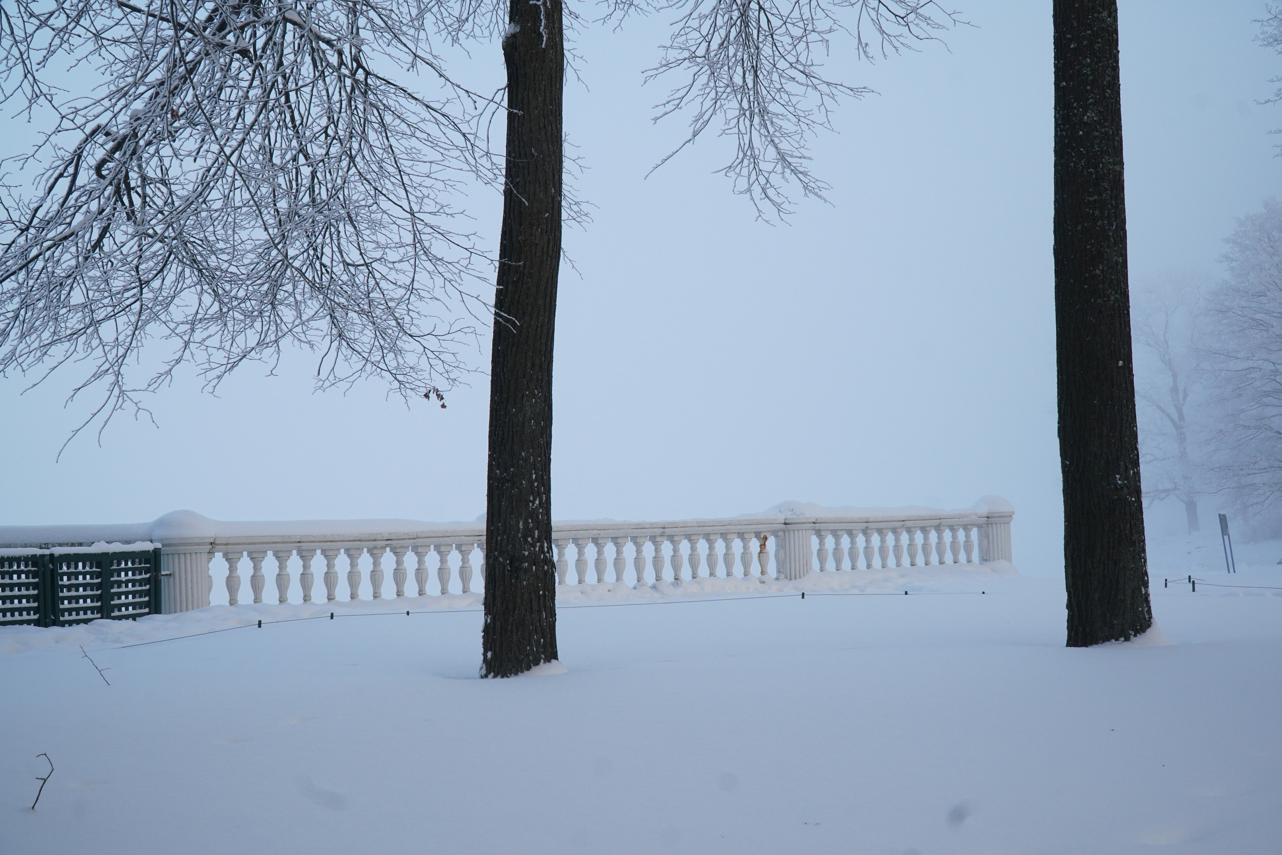 ПЕТЕРГОФ. Январь 2022. Фотограф Наталья Погодина в г. Обнинске
