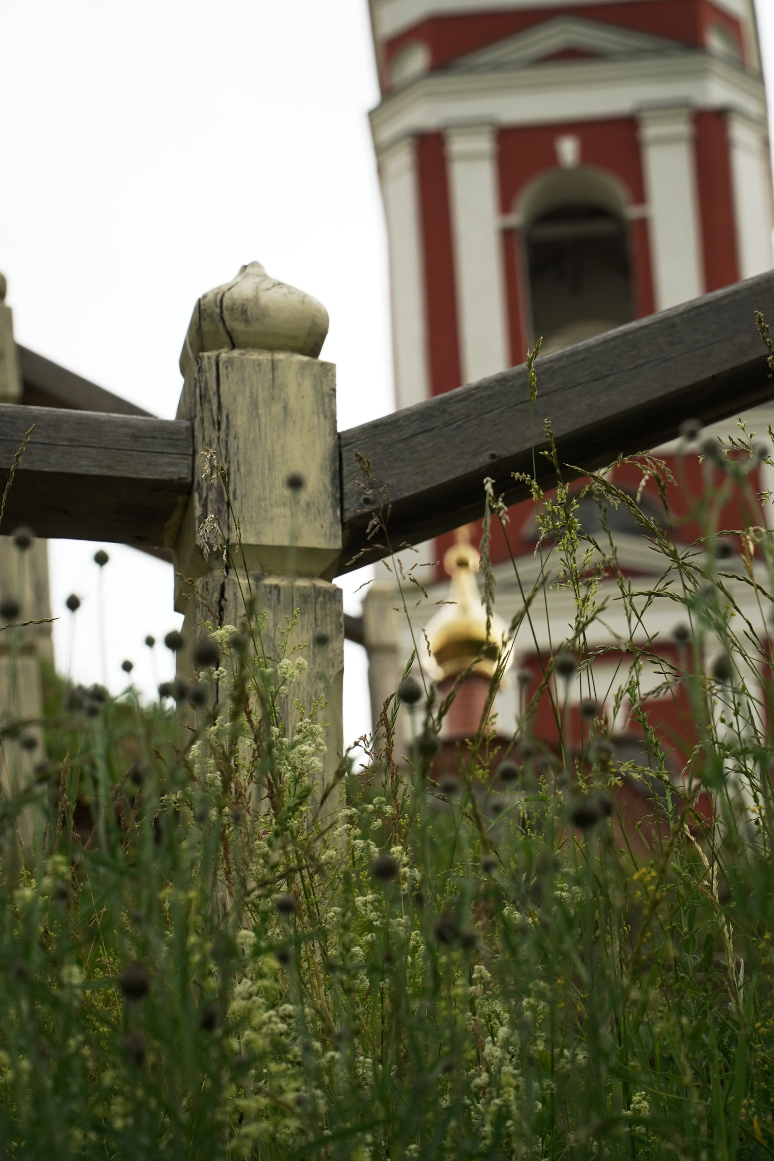 РУСИНОВО. Фотограф Наталья Погодина в г. Обнинске