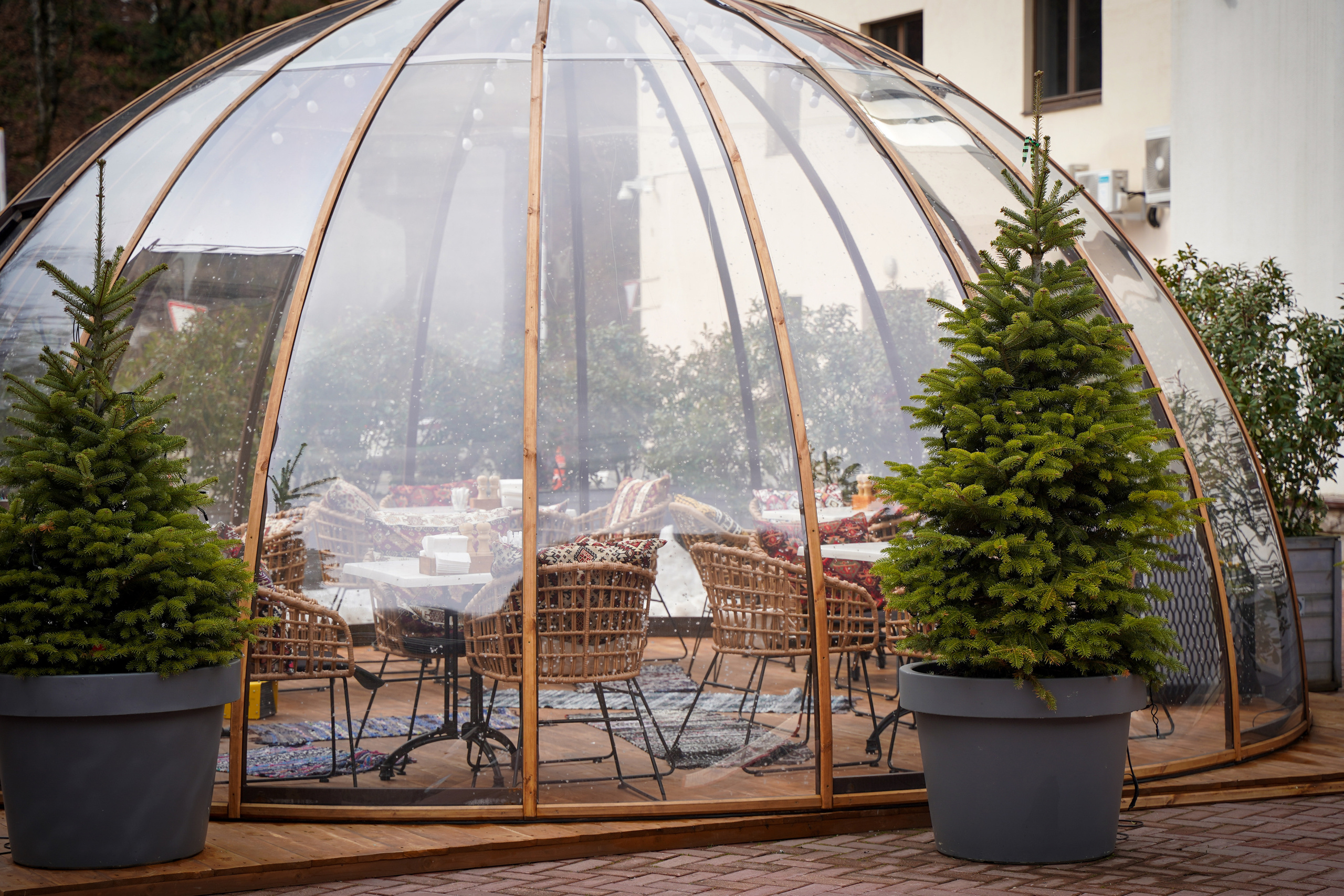 Фото Сочи 2023. Фотограф Наталья Погодина в г. Обнинске