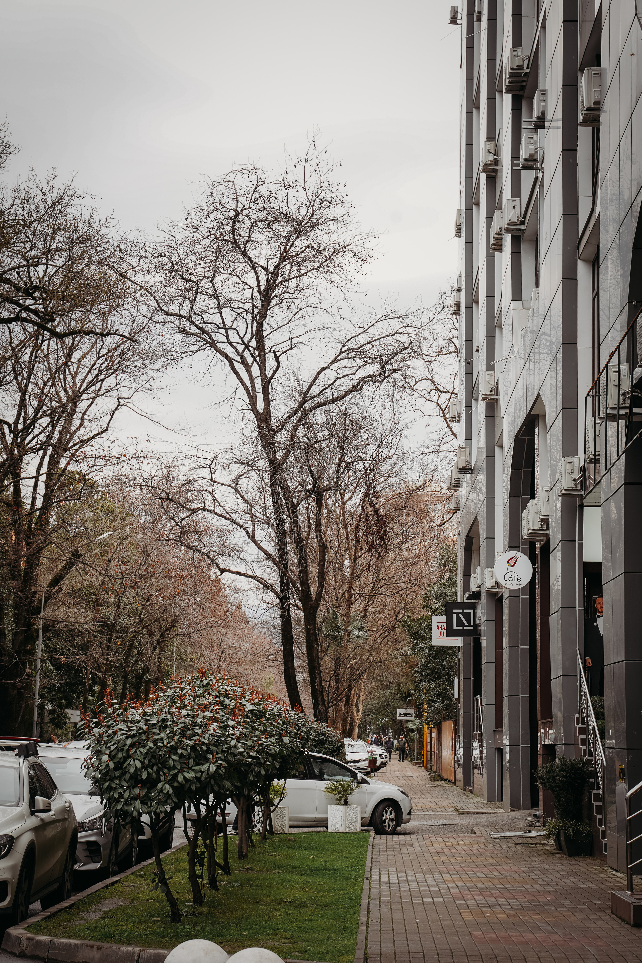 Фото Сочи 2023. Фотограф Наталья Погодина в г. Обнинске