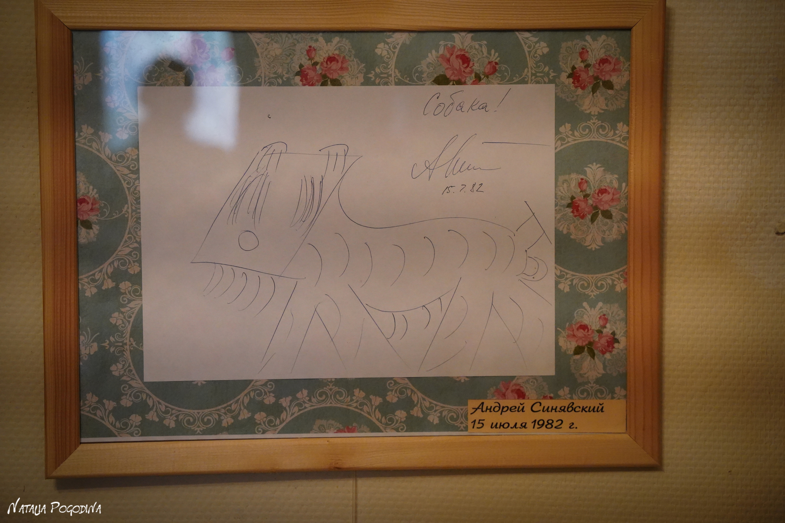 Фотопрогулка в Переделкино. Фотограф Наталья Погодина в г. Обнинске