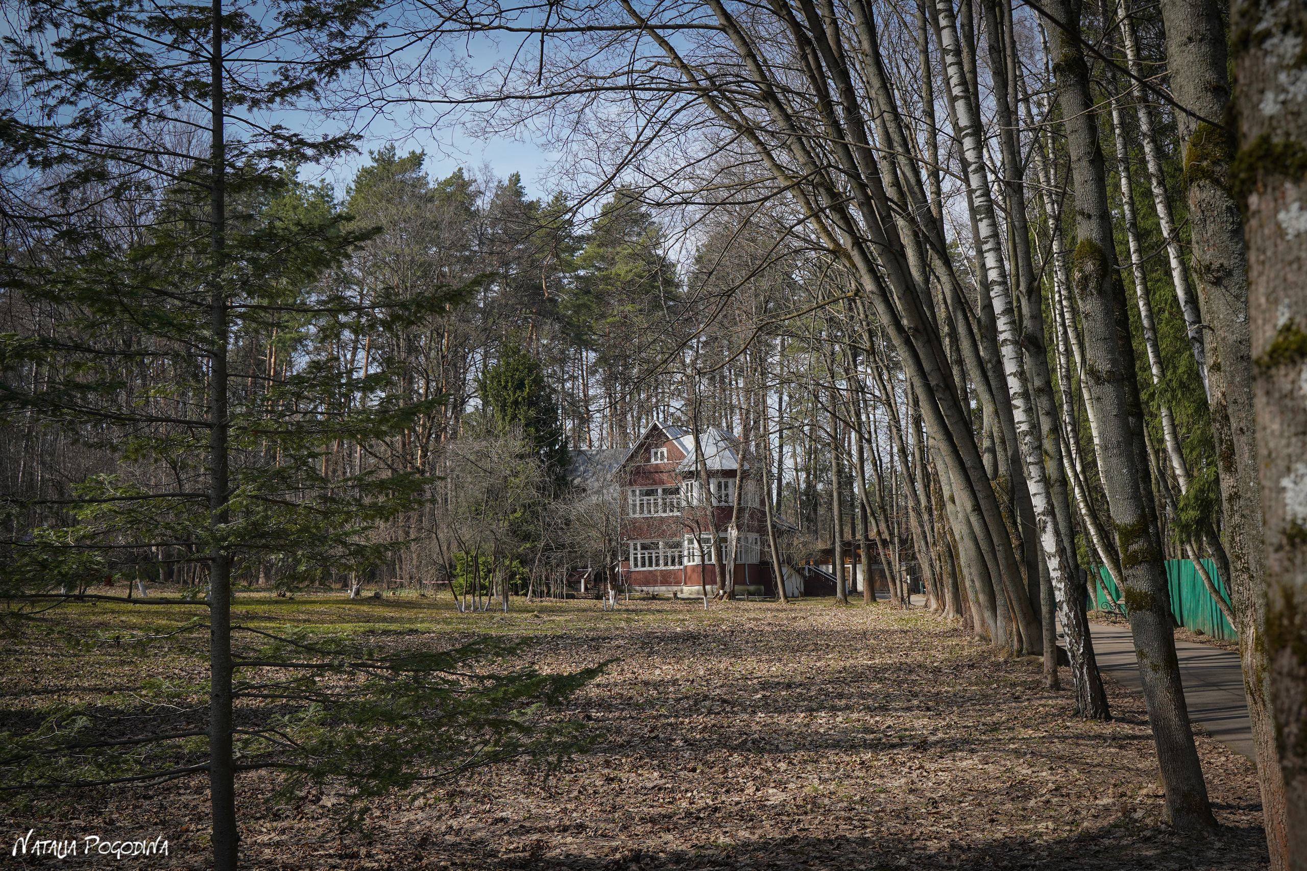 Фотопрогулка в Переделкино. Фотограф Наталья Погодина в г. Обнинске