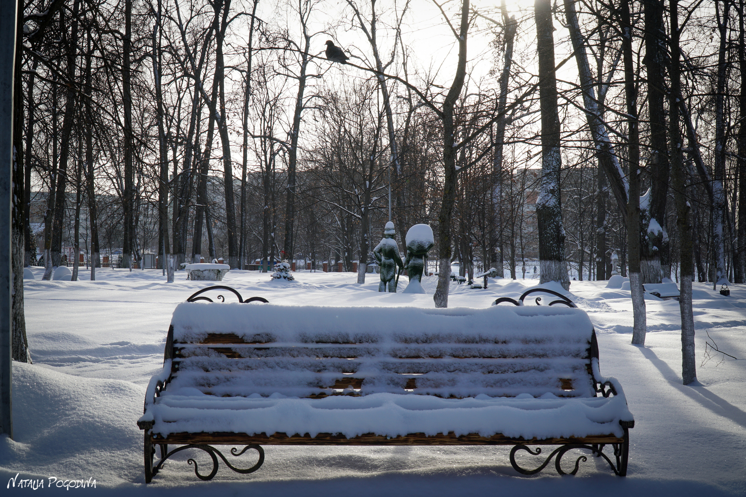 ОБНИНСК. Фотограф Наталья Погодина в г. Обнинске