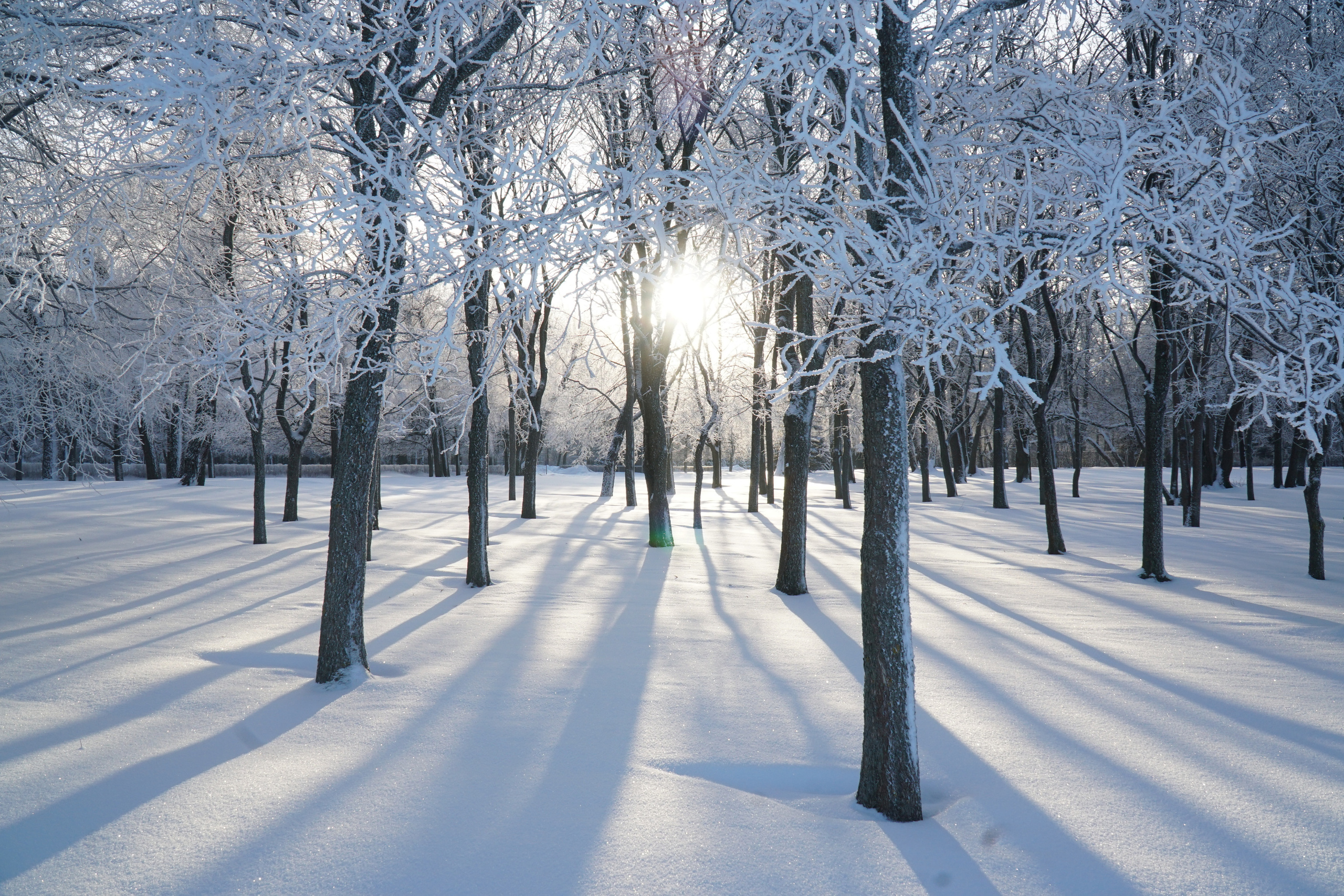ПЕТЕРГОФ. Январь 2022. Фотограф Наталья Погодина в г. Обнинске