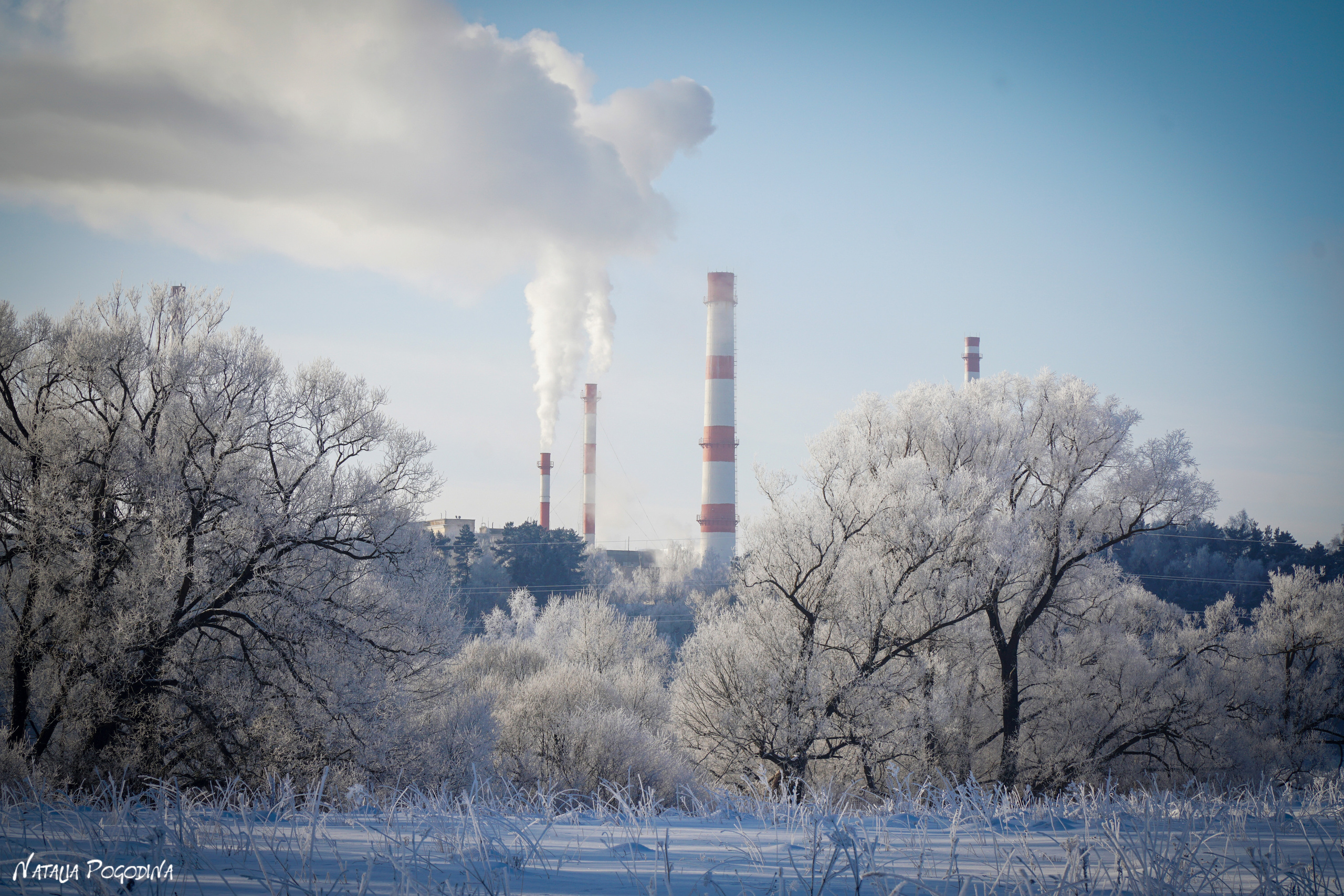 ОБНИНСК. Фотограф Наталья Погодина в г. Обнинске