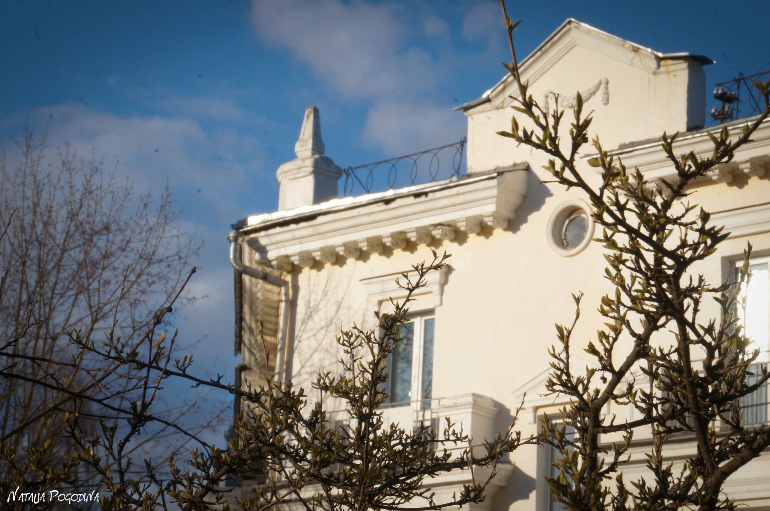 ОБНИНСК. Фотограф Наталья Погодина в г. Обнинске